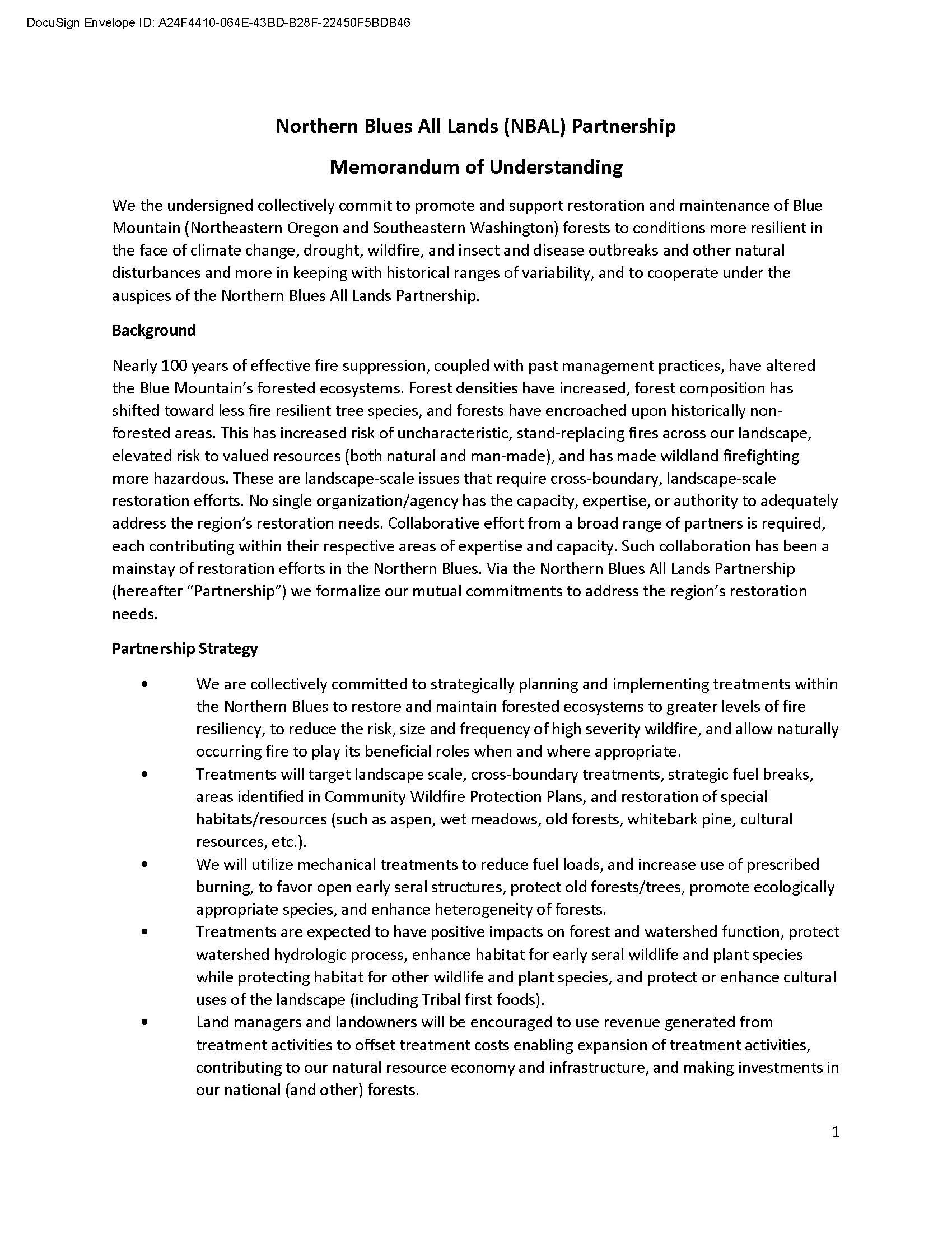 MOU N Blues All Lands Partnership_Final (1)_Page_01.jpg