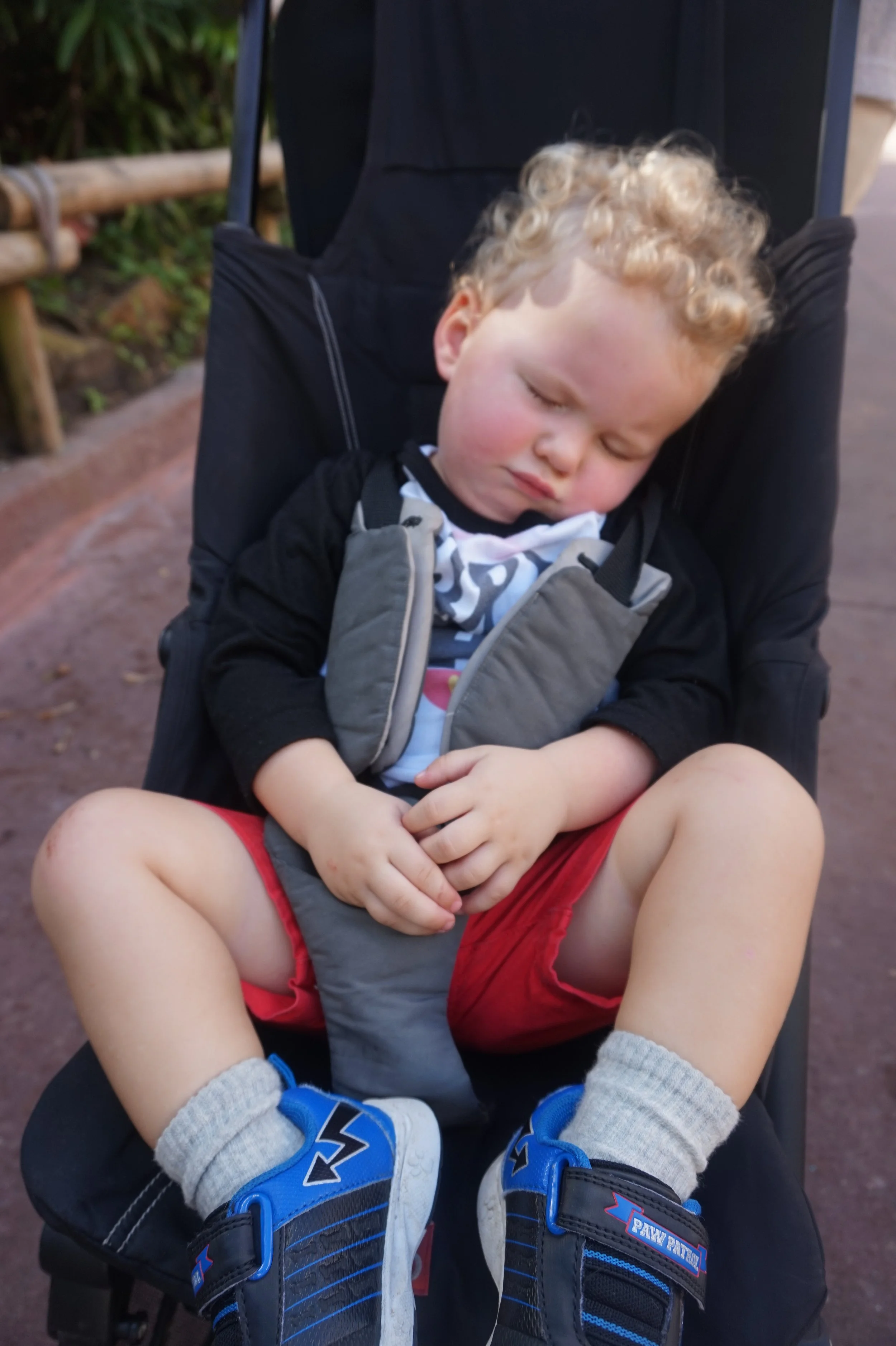 The author's toddler son asleep in their lightweight stroller