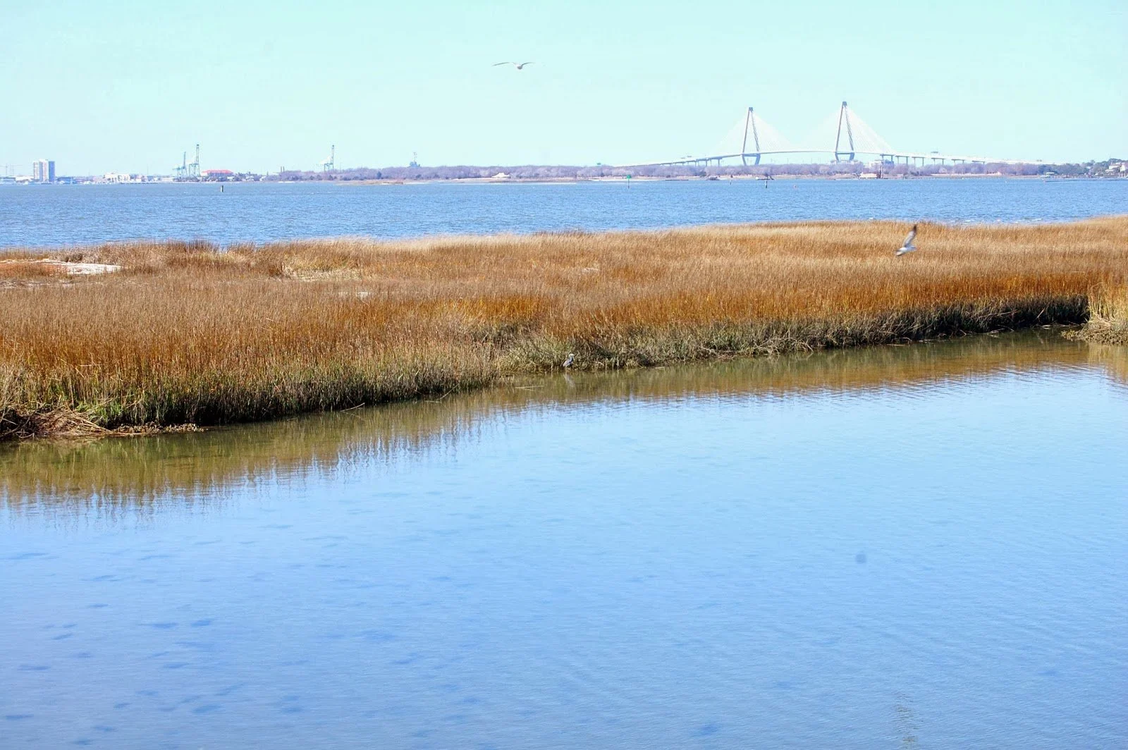 Visiting Pitt Street Bridge: A Hidden Gem in Mt. Pleasant, SC