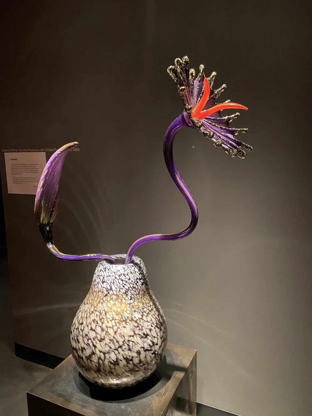 IMG_3069.jpeg