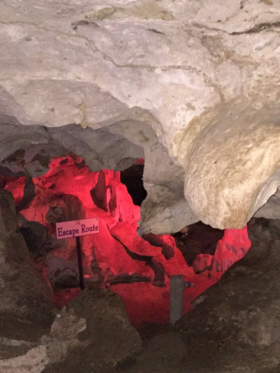 Bats, Bond, and Pirates: Green Grotto Caves, Jamaica