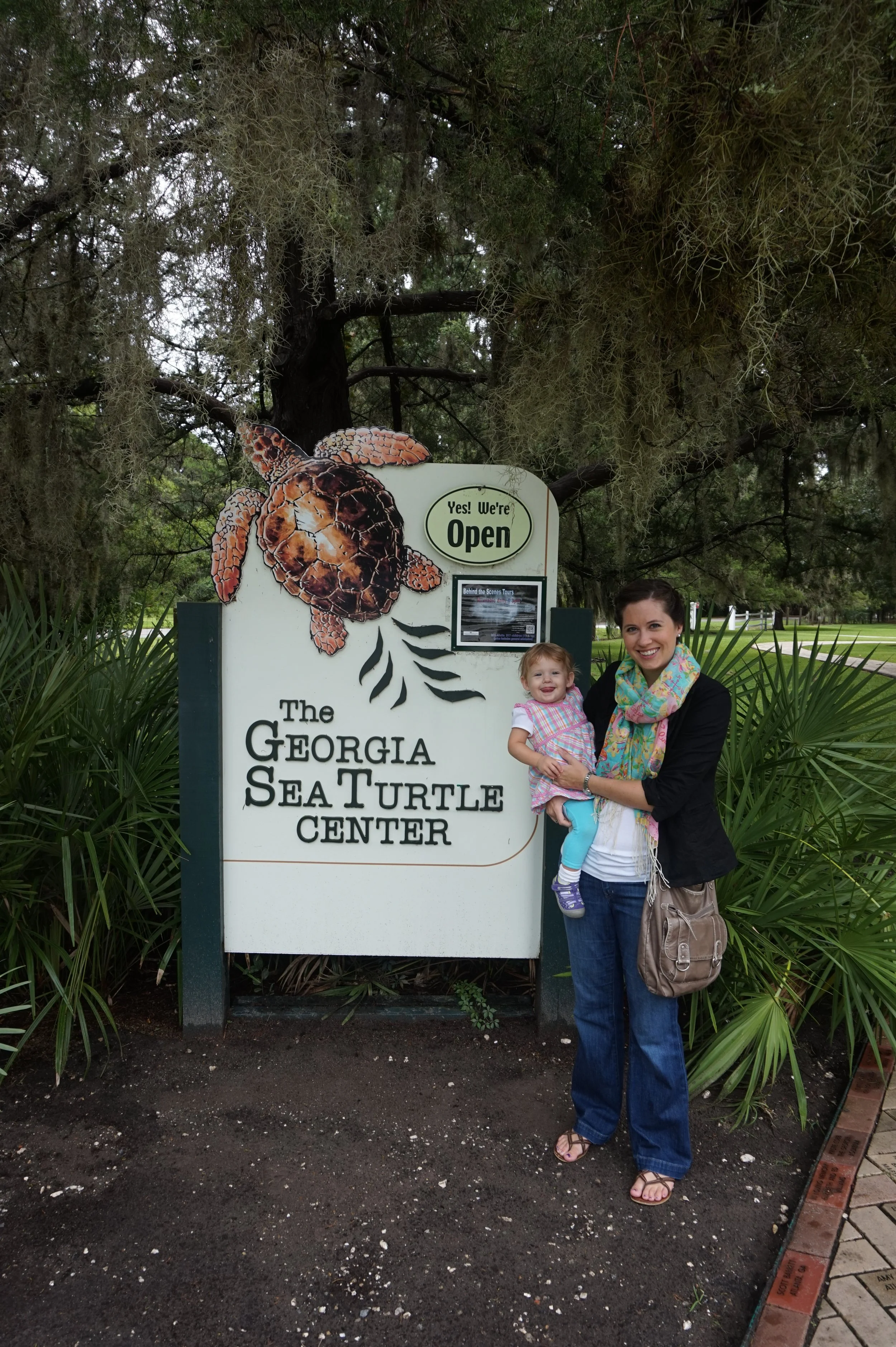 A Guide to the Georgia Sea Turtle Center in Jekyll Island, Georgia