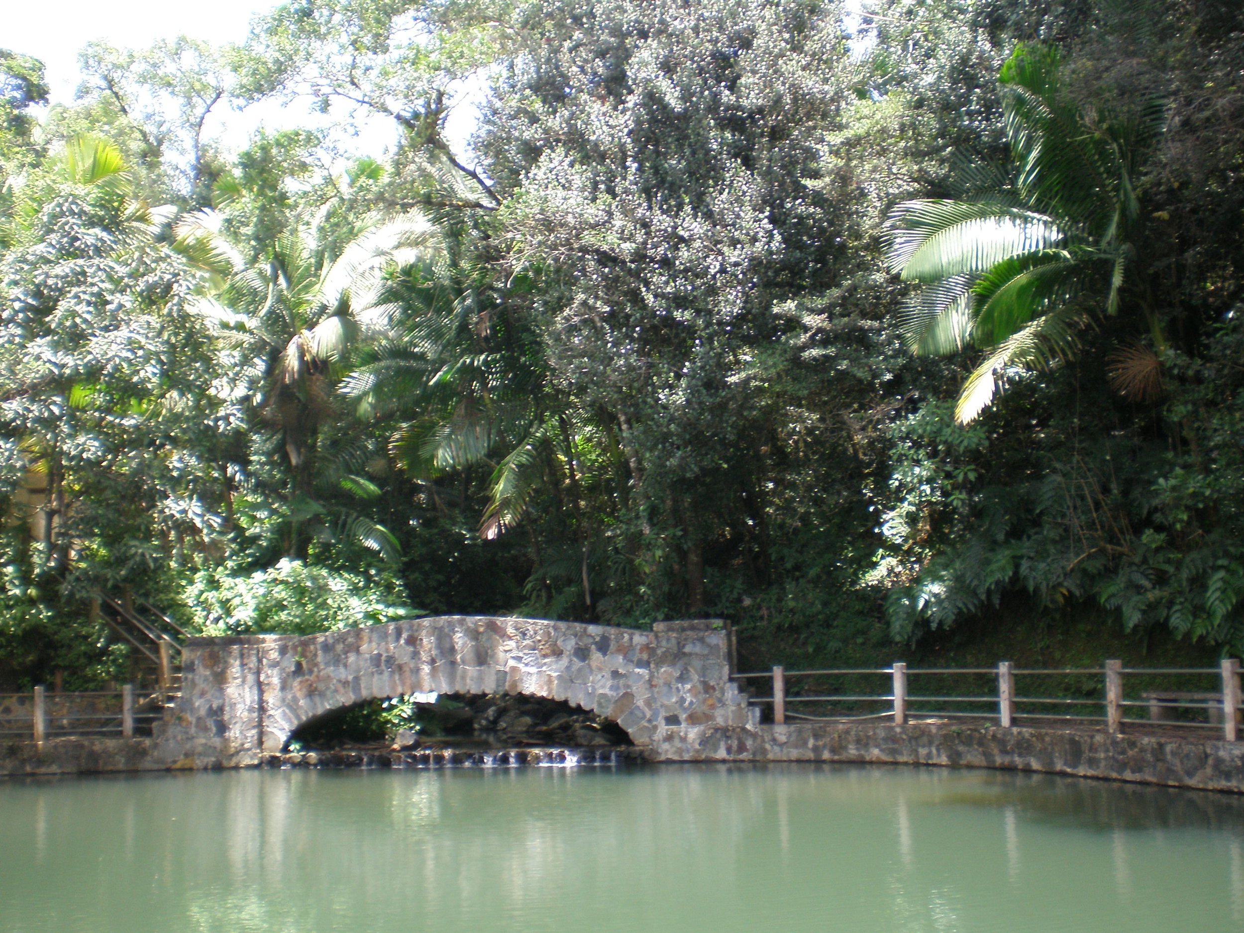 CCC-built bridge in El Yunque