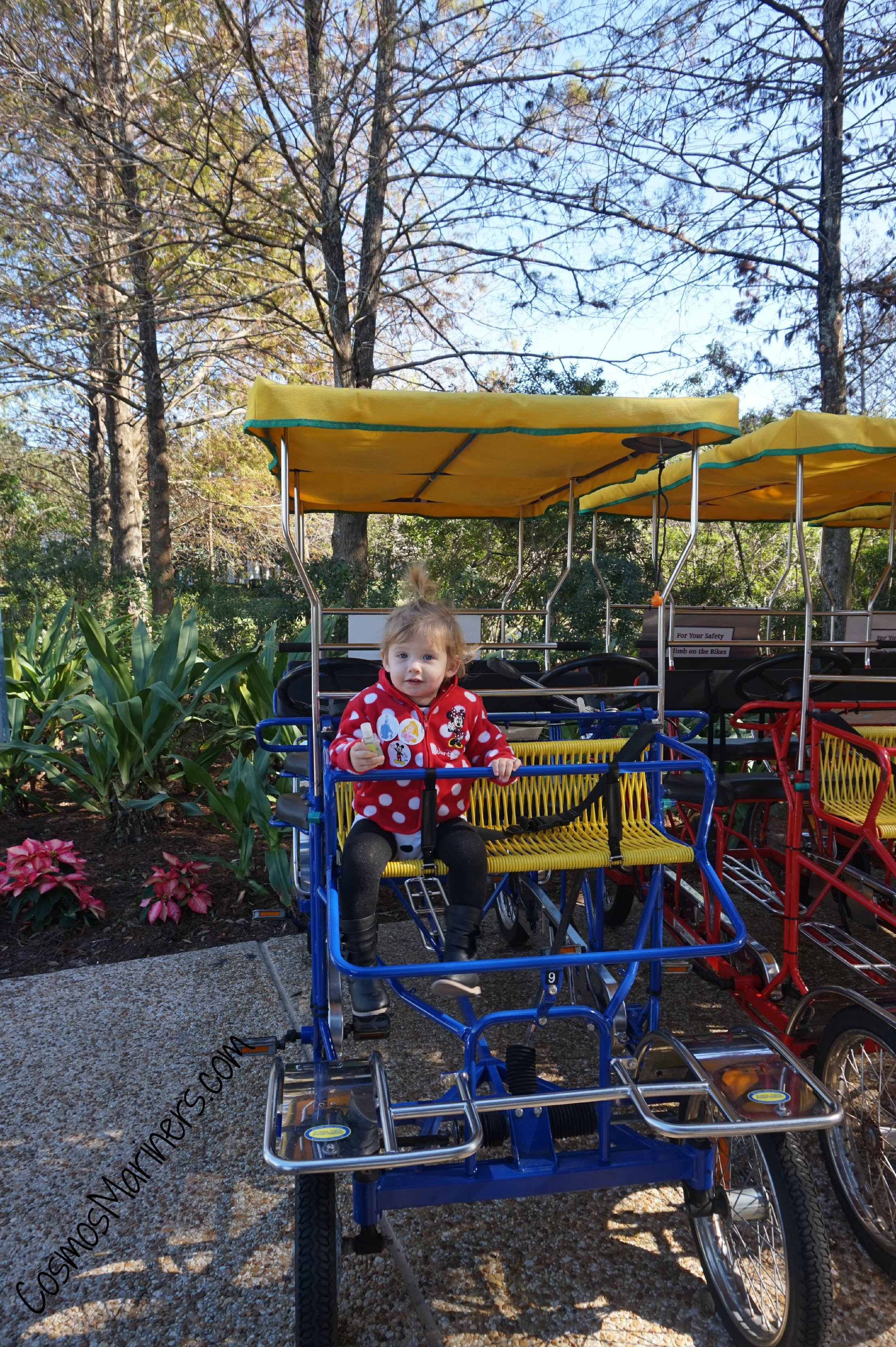 The author's toddler daughter sitting in a surrey at Port Orleans resort in Walt Disney World