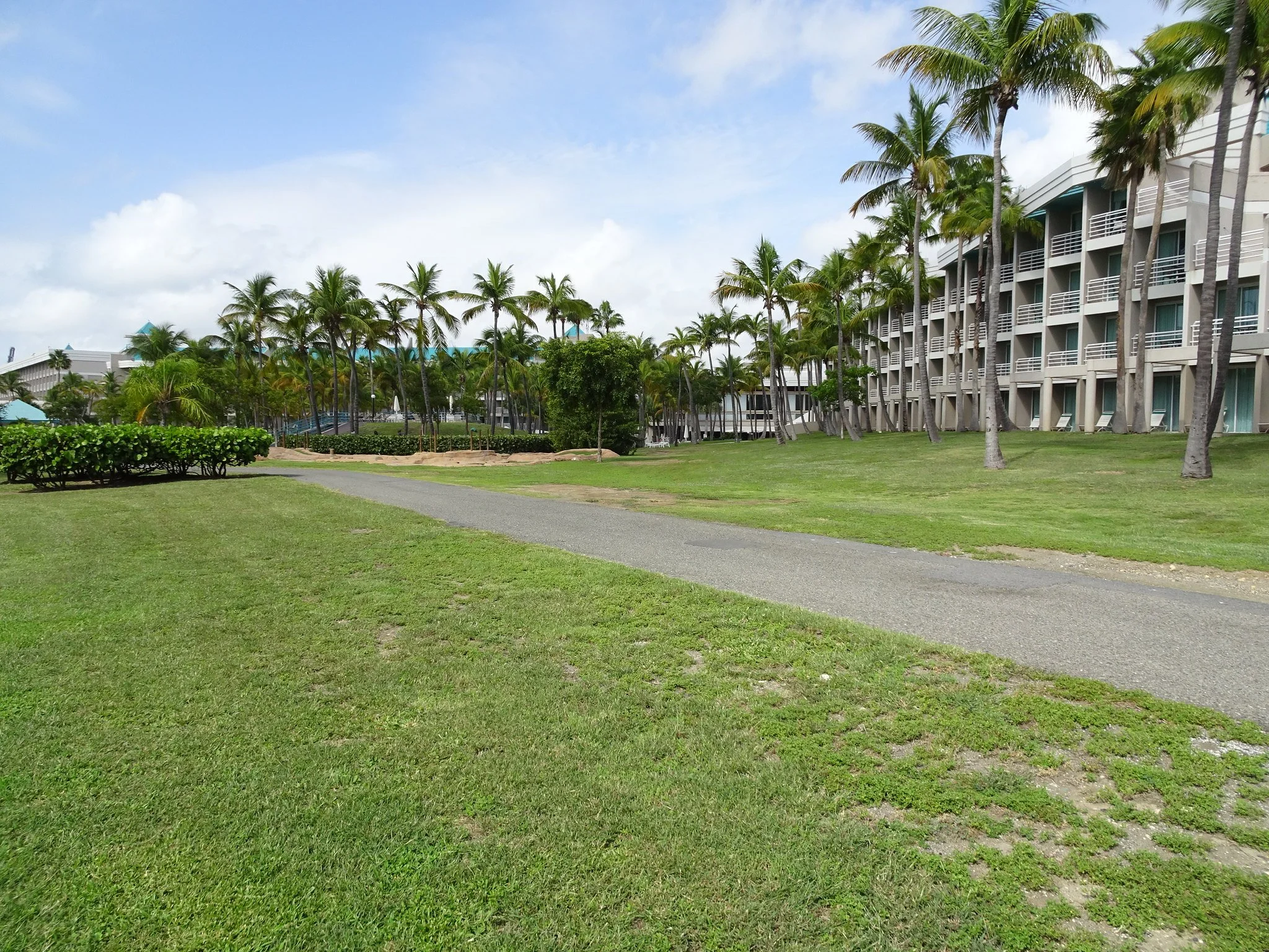 Balconies of the Hilton Ponce Golf and Casino with palm trees in front