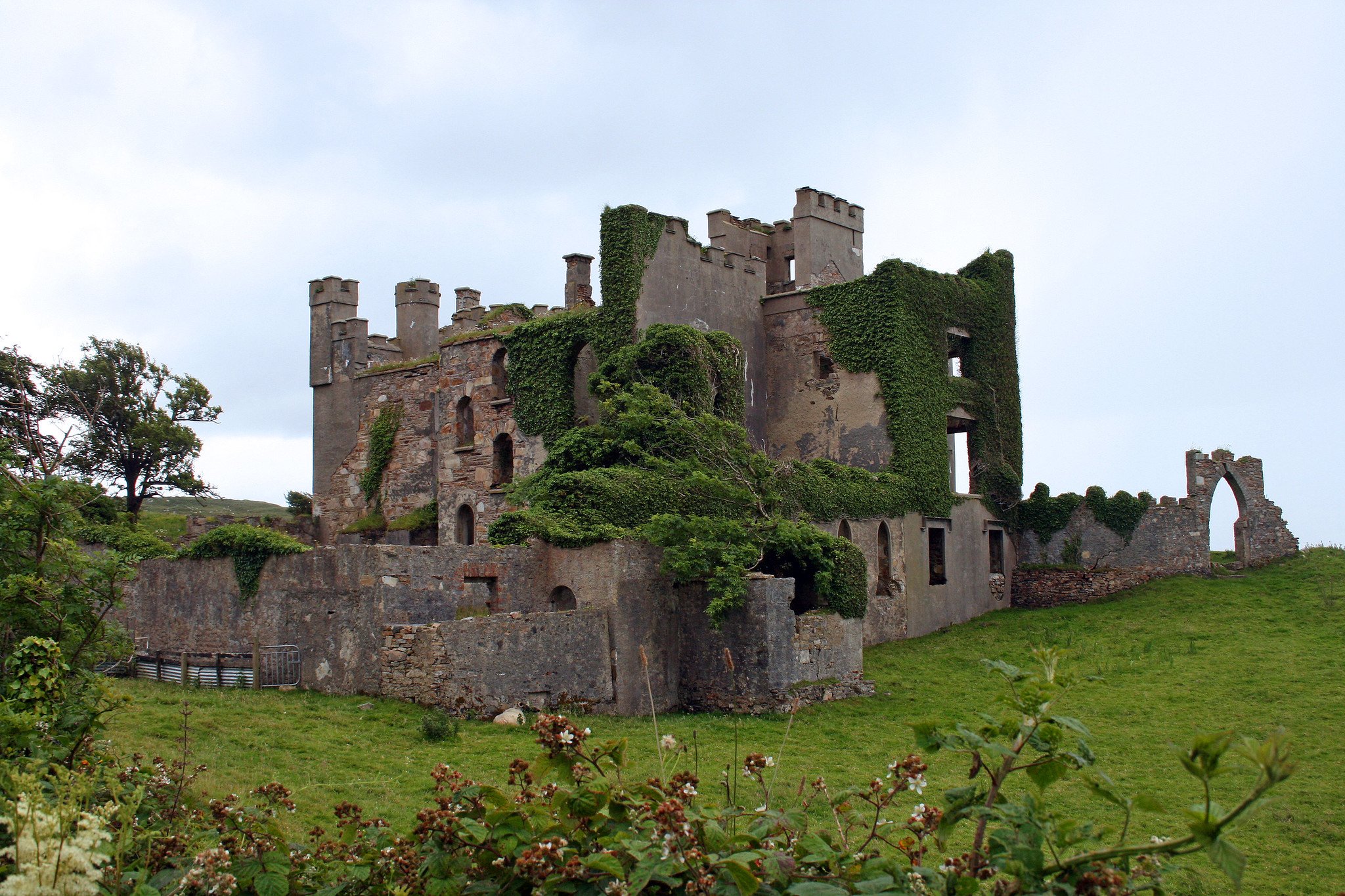 Vine covered exterior of Clifton Castle in Connemara