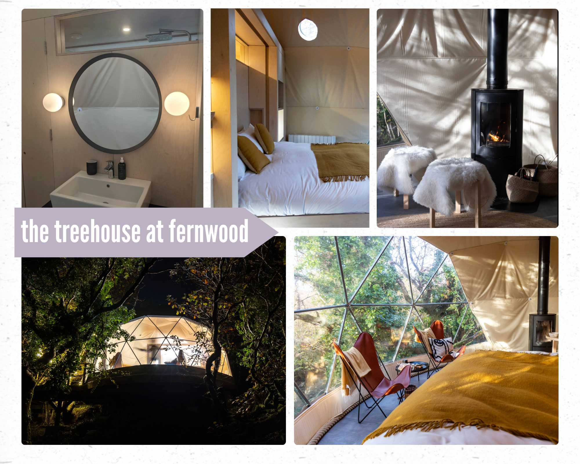Collage of the geodesic dome built into a tree at Fernwood in Ireland