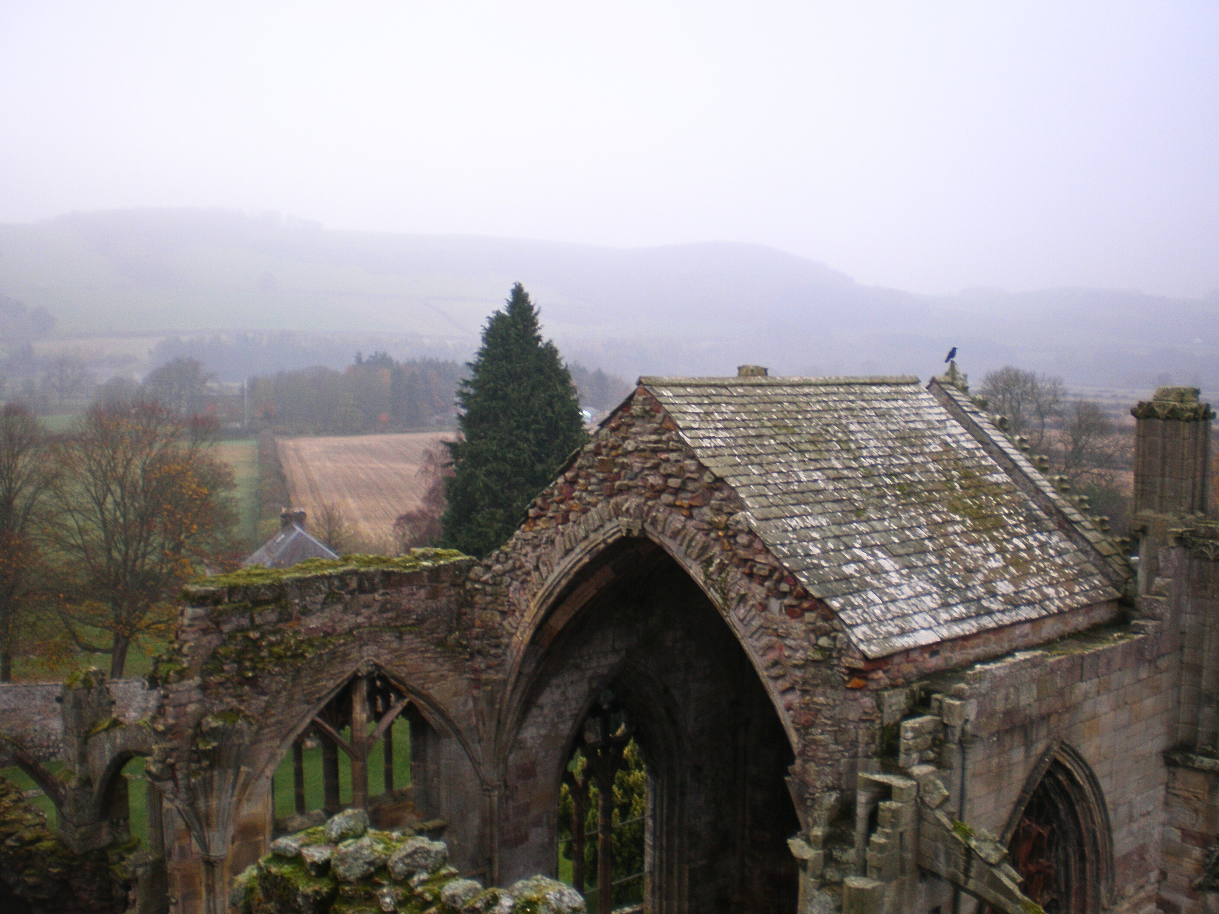 The roof of the main chapel as seen from the bell tower in Melrose Abbey