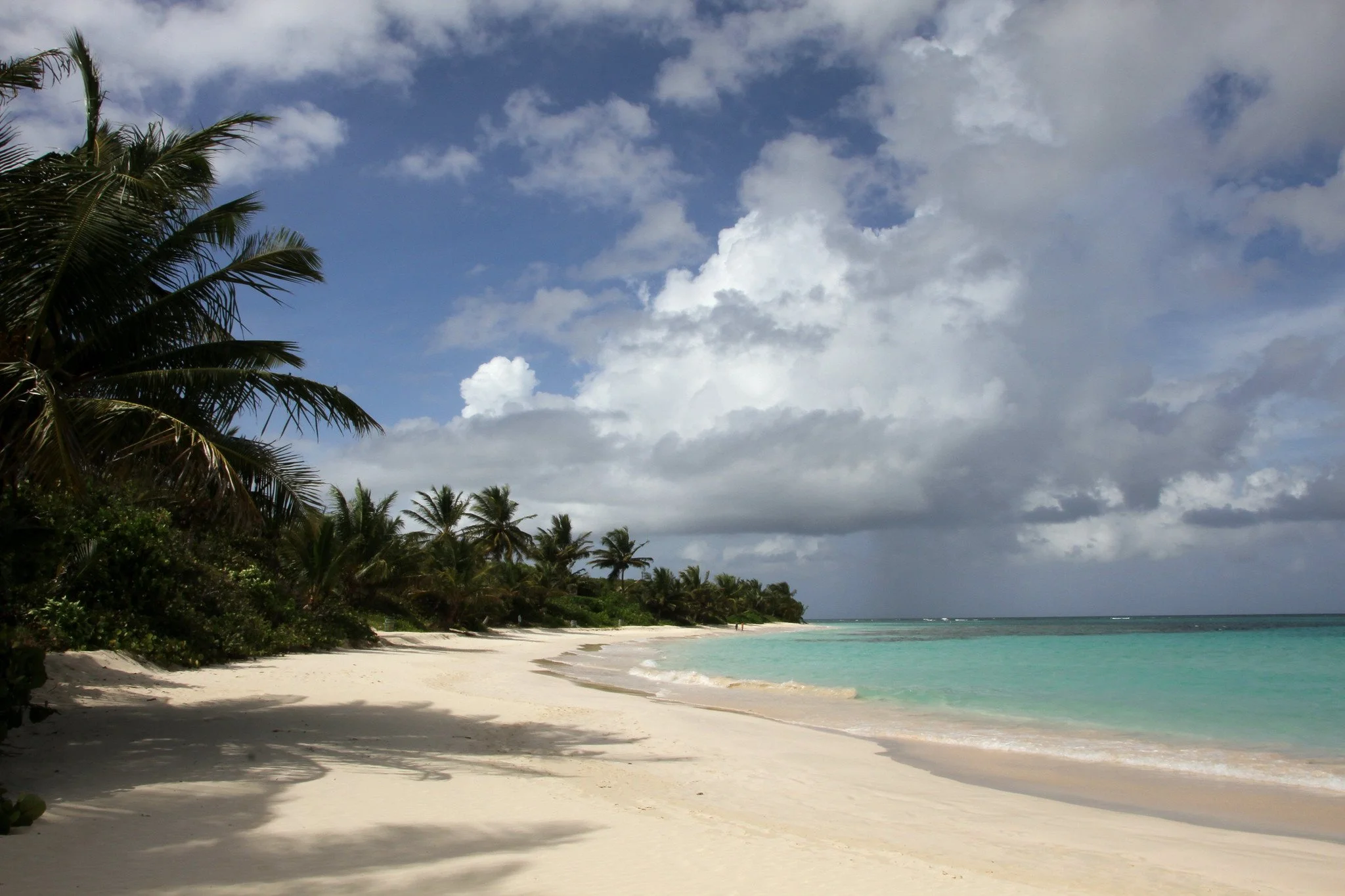 Curved sand beach at Flamenco Beach on Culebra in Puerto Rico with palm trees