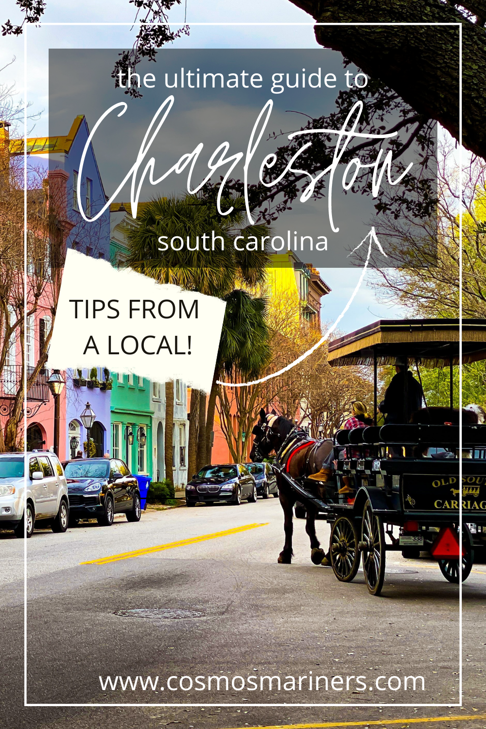 Visitors Guide to Charleston SC pin