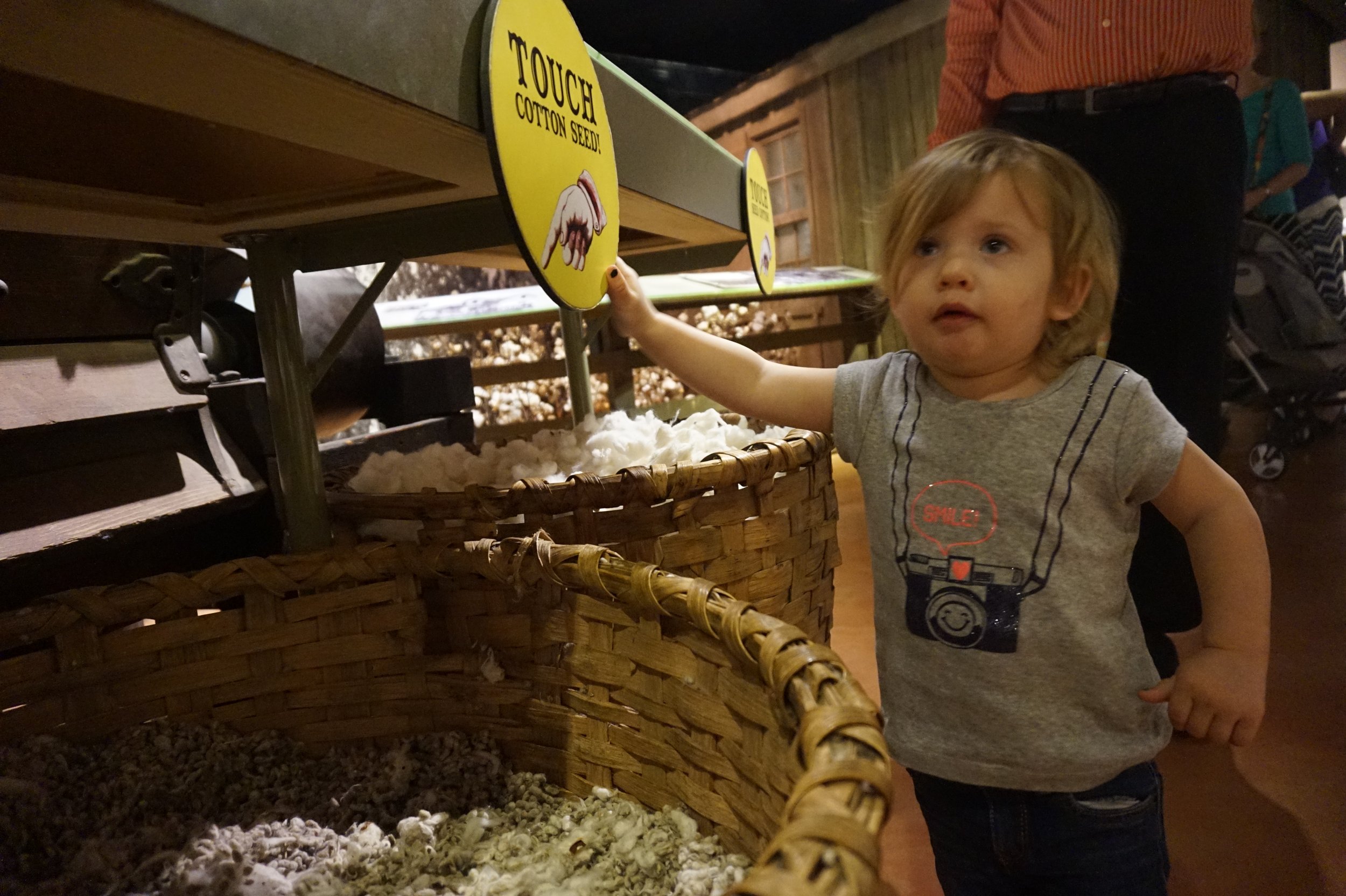 Toddler Activities in Charlotte, NC