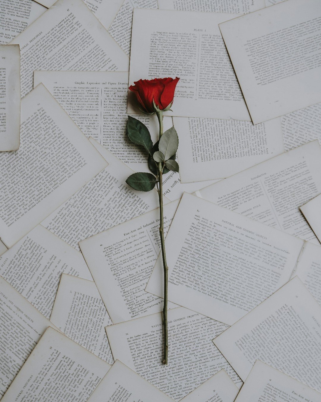 Feli&ccedil; Sant Jordi or Happy Saint George's Day from Barcelona! 🌹📚Today the city is full of roses and books to celebrate this beautiful Catalan tradition. Do you already have your book and rose ready to give to your loved ones?
.
.
&iexcl;Feliz