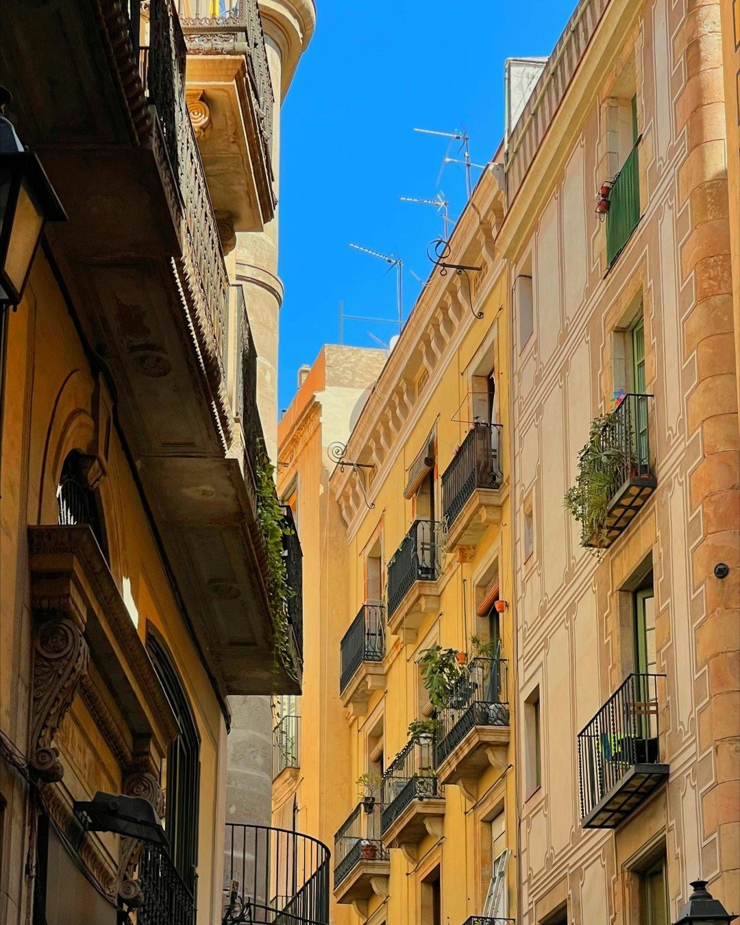 Barcelona, ¡la ciudad perfecta para pasear y disfrutar del buen tiempo! Sus calles llenas de historia y encanto invitan a recorrerlas y descubrir cada rincón. ¿A quién más le gusta perderse por las calles de esta maravillosa ciudad?🌞🚶‍♂️
.
.
&iexcl