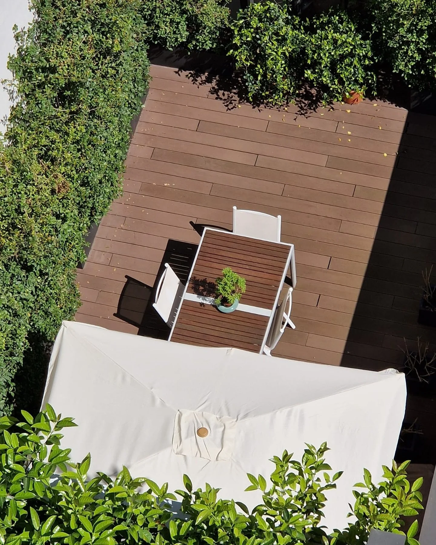 Summer is here and our terraces know it ☀️🌳
Enjoy spacious outdoor living at Casa Mercader.
.
.
El verano ya lleg&oacute; y nuestras terrazas lo saben ☀️🌳
Disfruta de grandes espacios al aire libre en Casa Mercader.

#simabagroup #beourguest #premi
