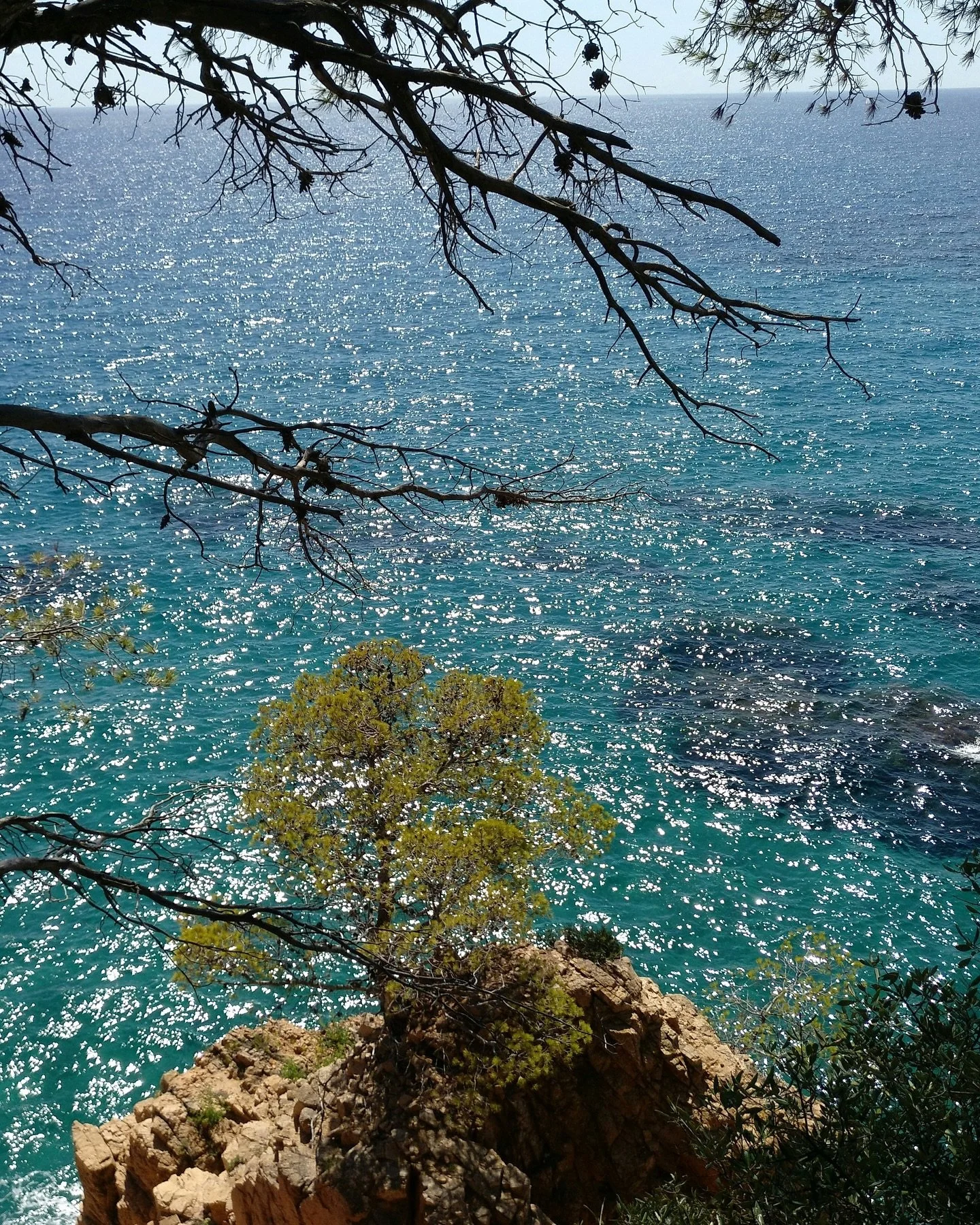 At Simaba Group, we believe that protecting biodiversity means taking care of both our present and our future. 🌿

As proud members of Biosphere, we work every day to promote responsible tourism and a sustainable lifestyle through:
♻️ Eco-friendly am