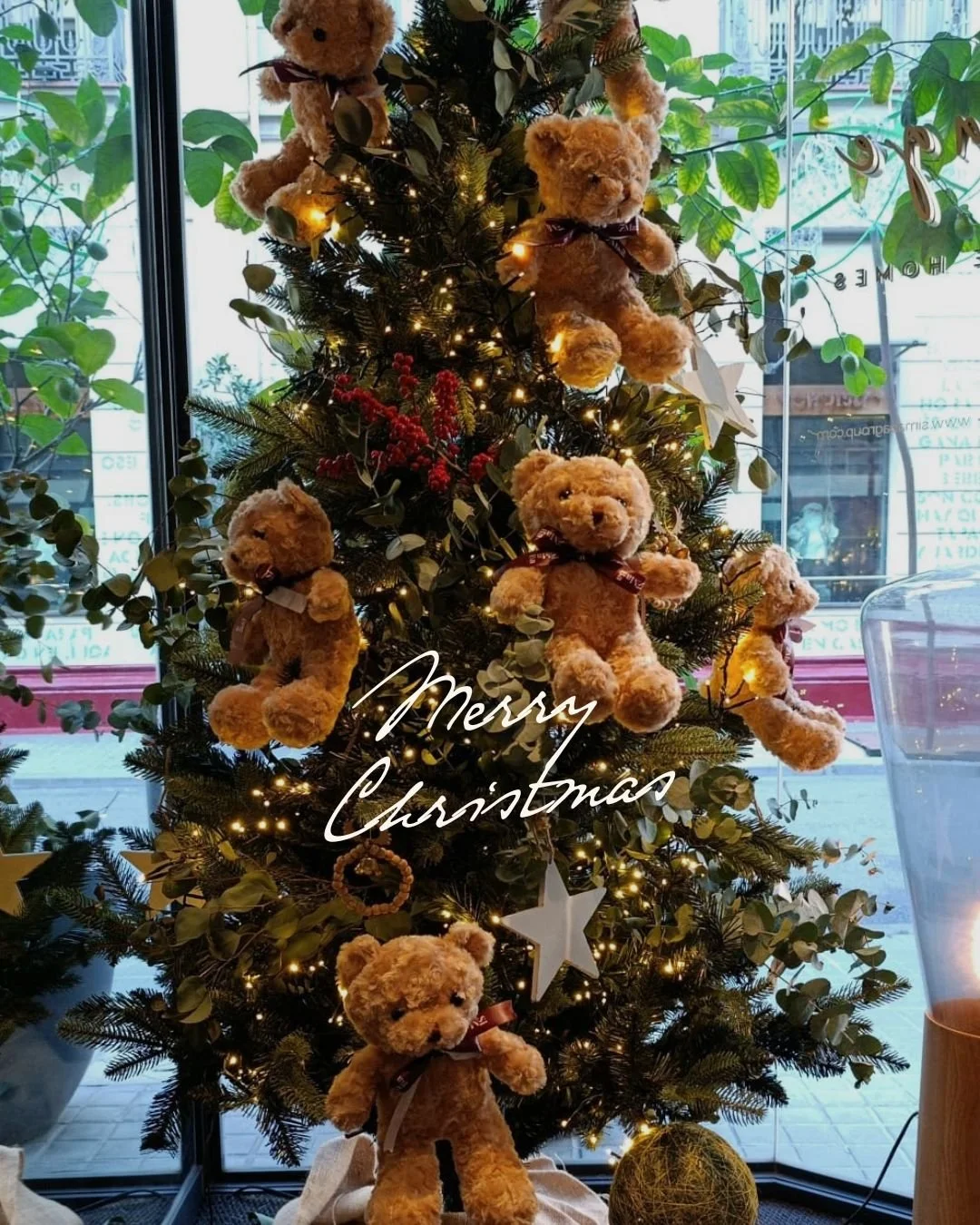 The holiday season has arrived at Simaba.

Across all our apartments, the lights, the details, and that warm festive atmosphere are already in place, small touches that make every space feel inviting, familiar, and ready for traditions to be shared a