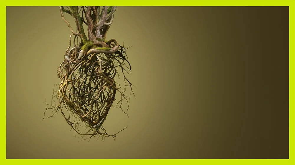 Exhibition on Mercè Rodoreda at the CCCB