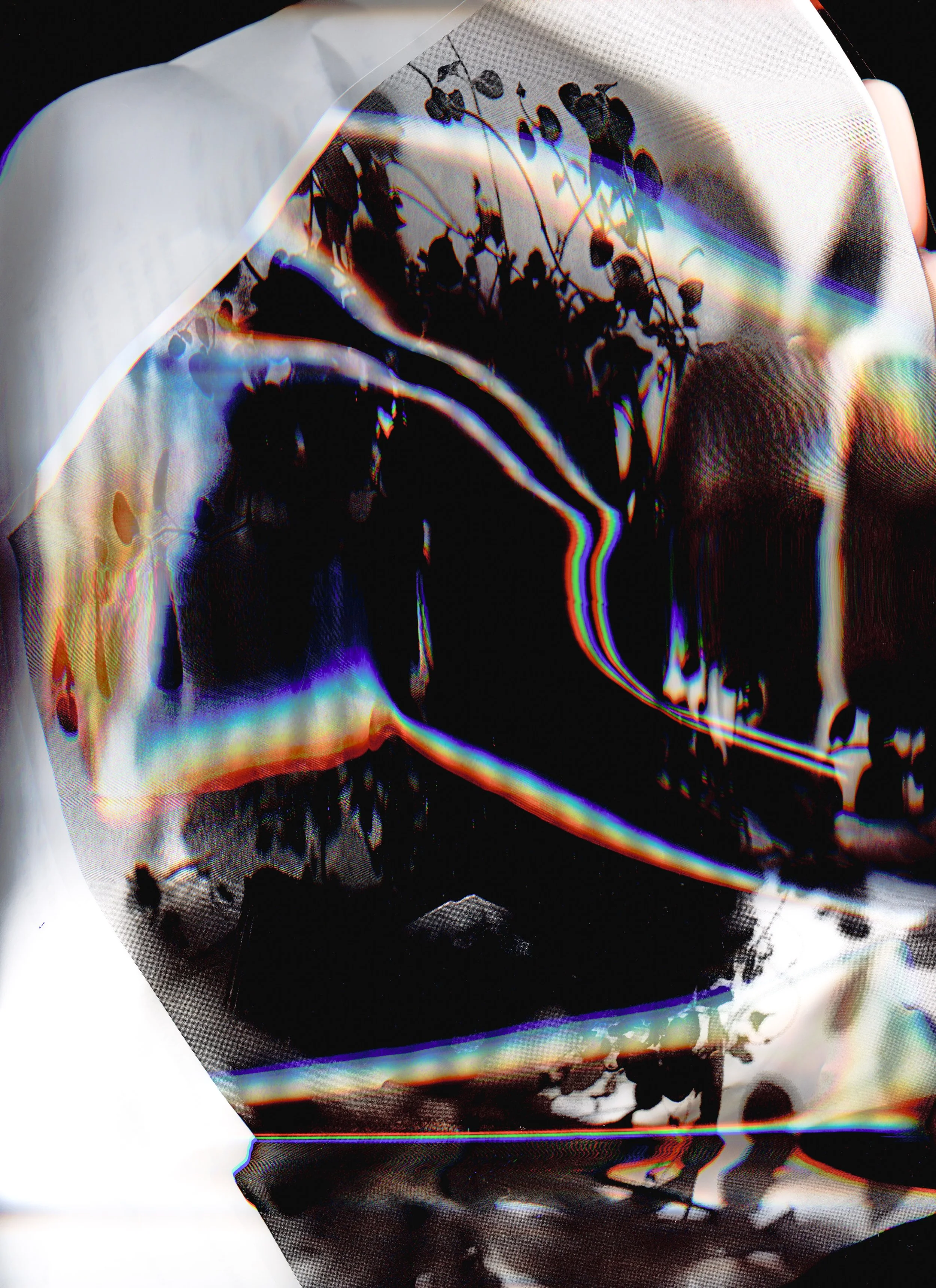 in good hands 003.jpg