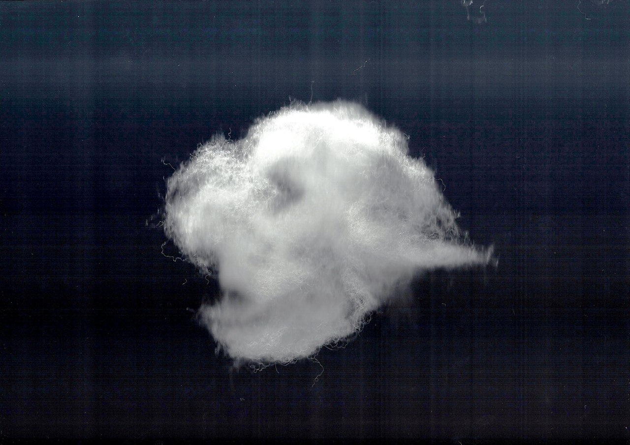 2bluegrayScan 26.jpg