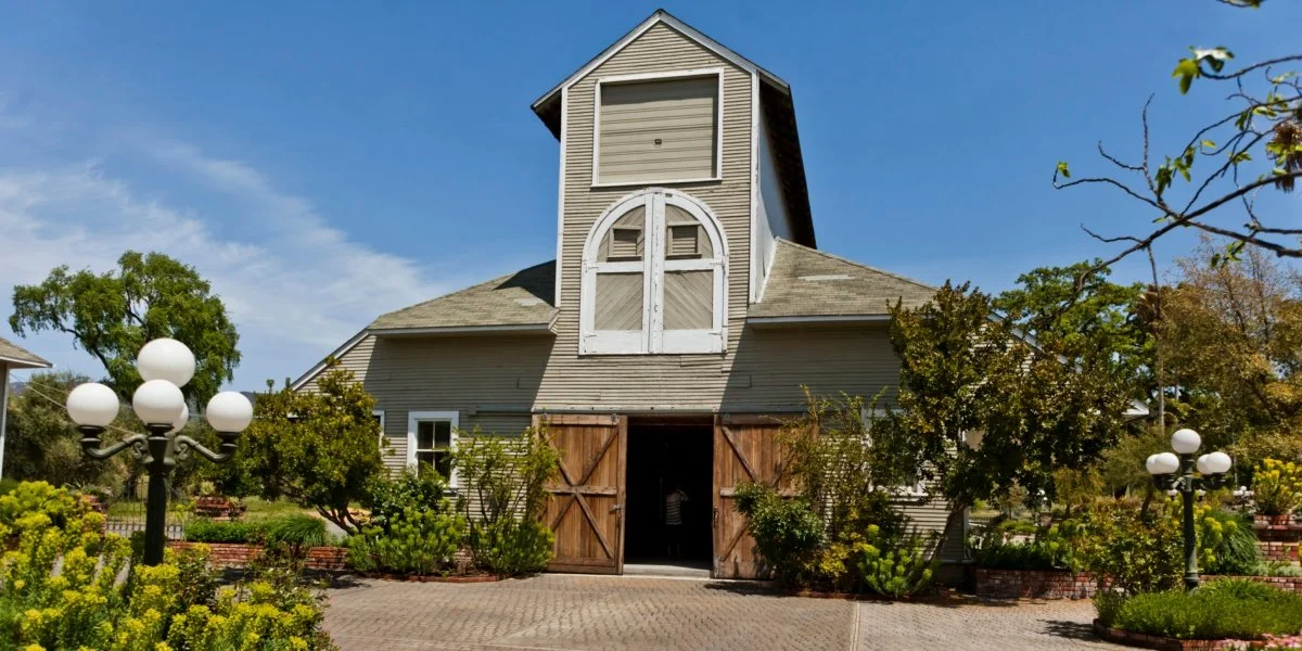 Campovida-Wedding-Hopland-CA-15.jpeg