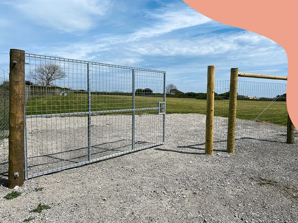 Pig & Pooch Dog Paddock Cornwall — Pig & Pooch Paddock
