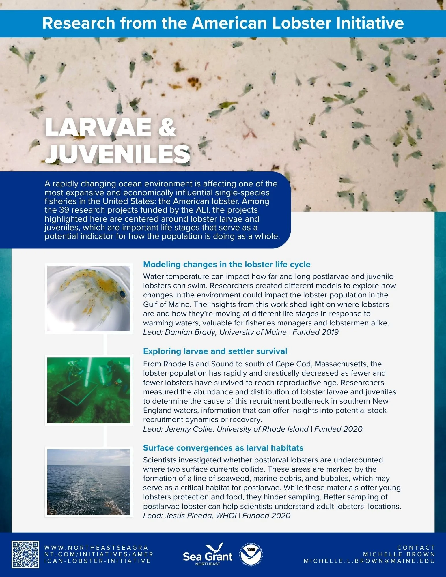 Larvae and Juveniles