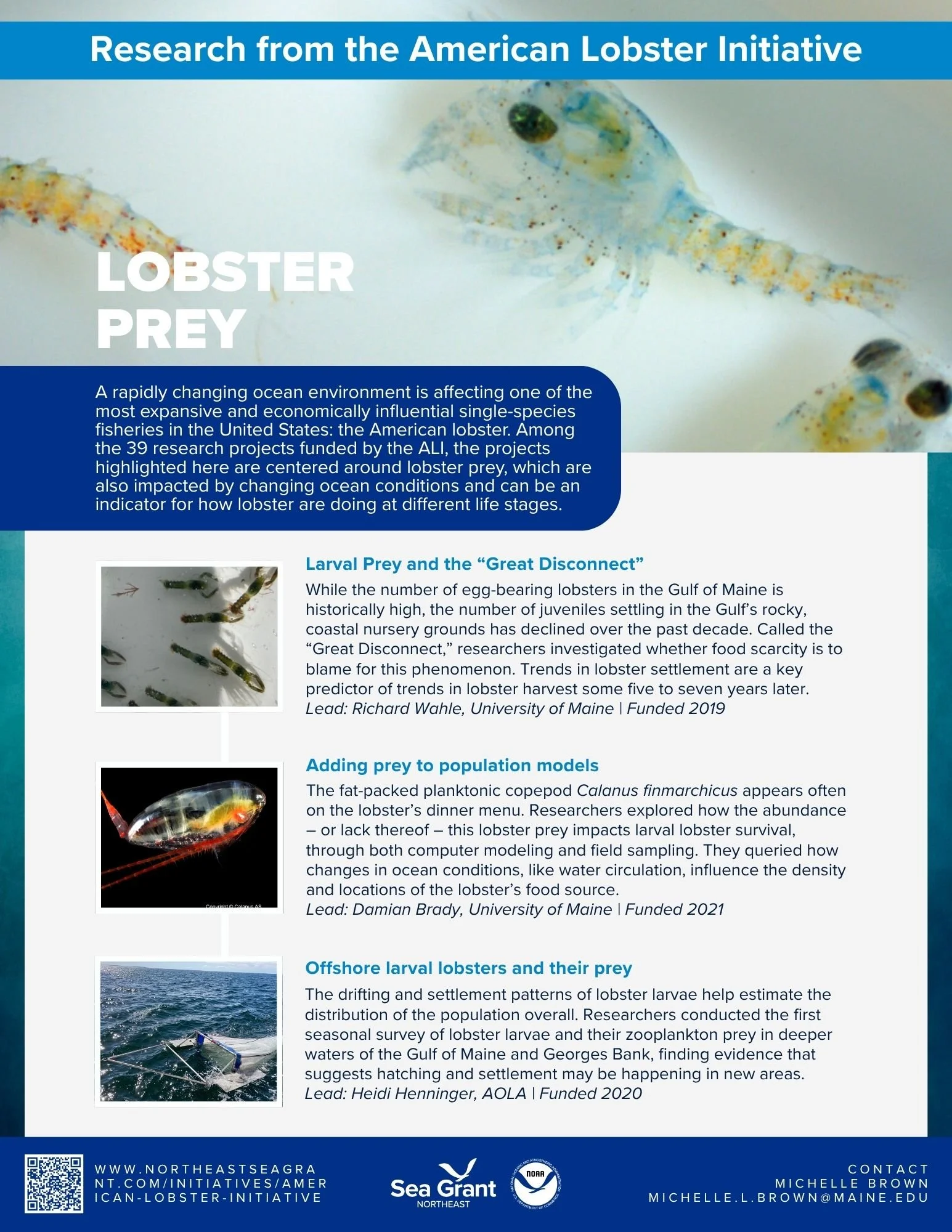 Lobster Prey