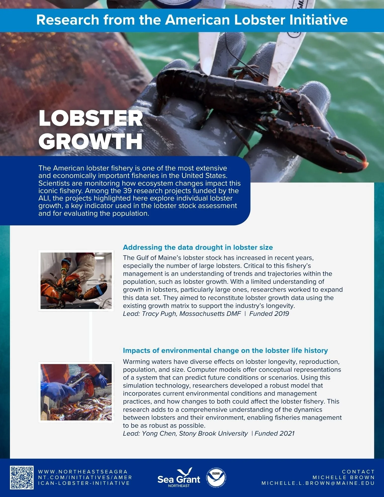 Lobster Growth