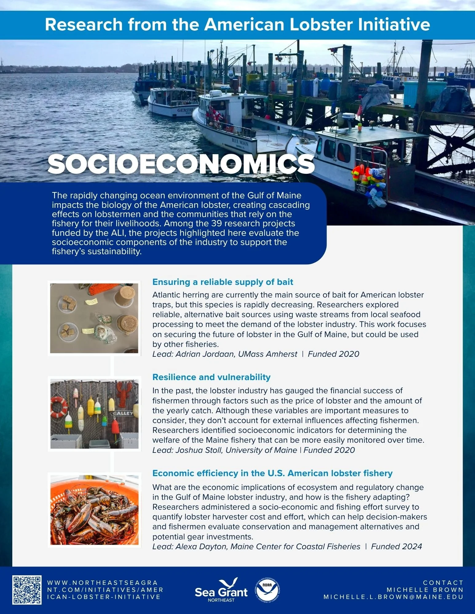 Socioeconomics