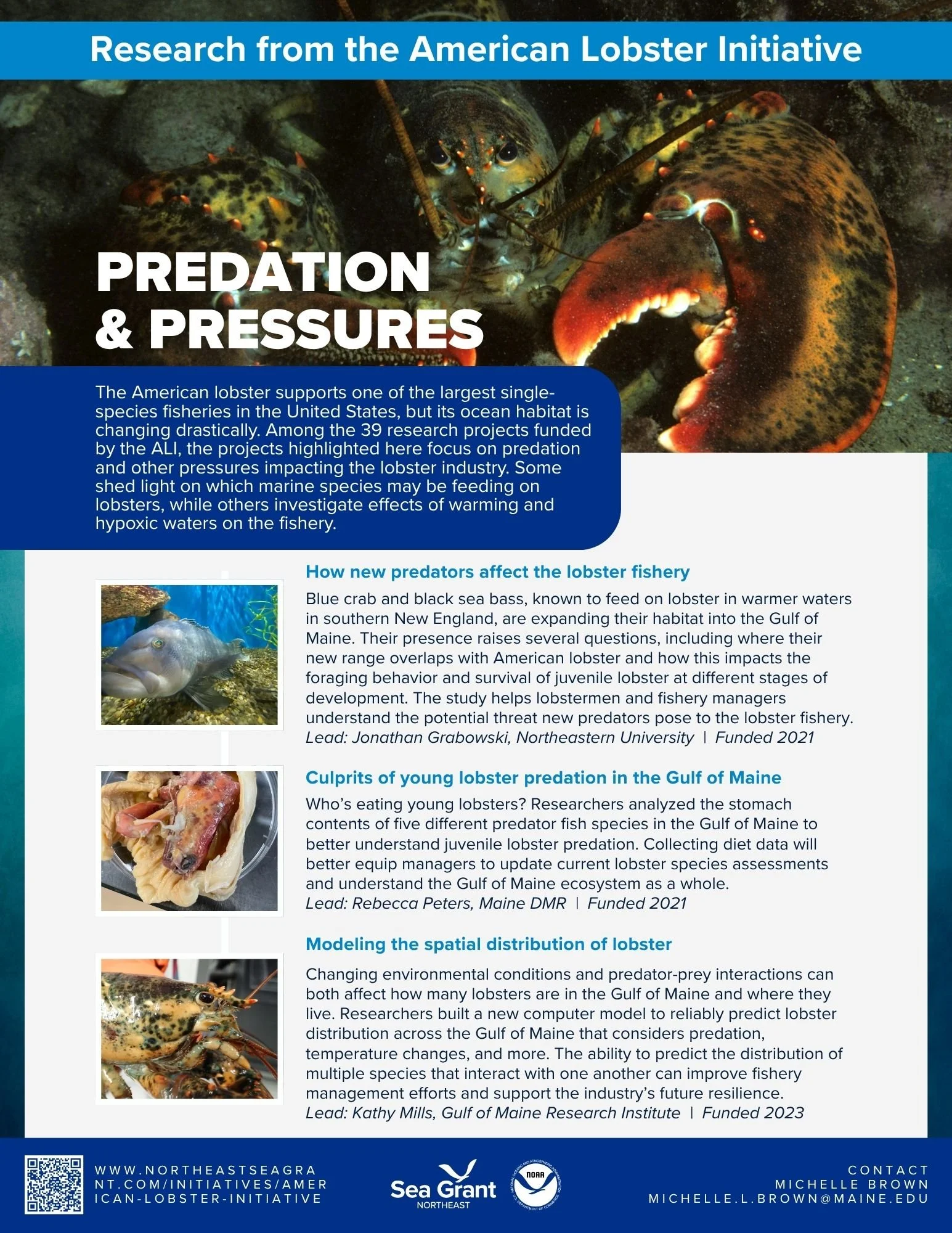 Predation and Pressures