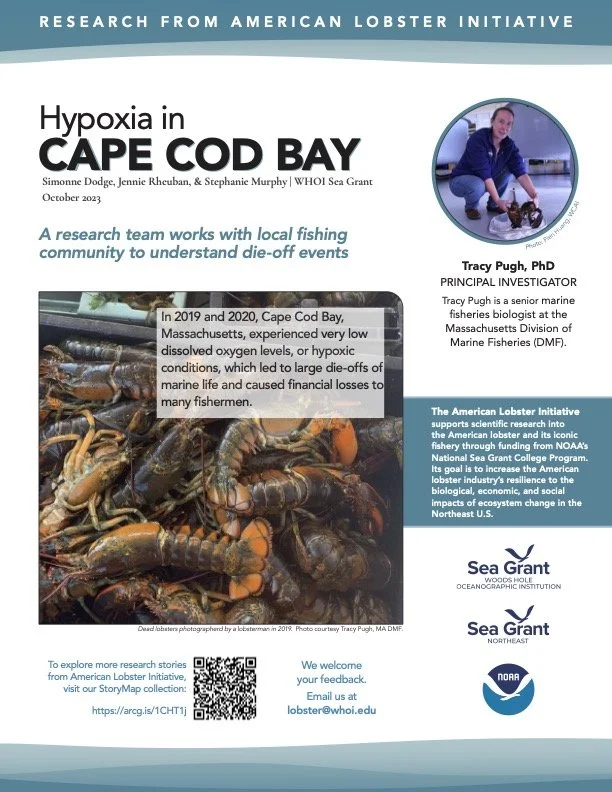 Hypoxia in Cape Cod Bay