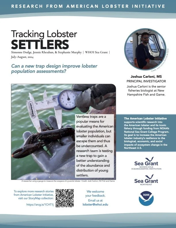 Tracking Lobster Settlers