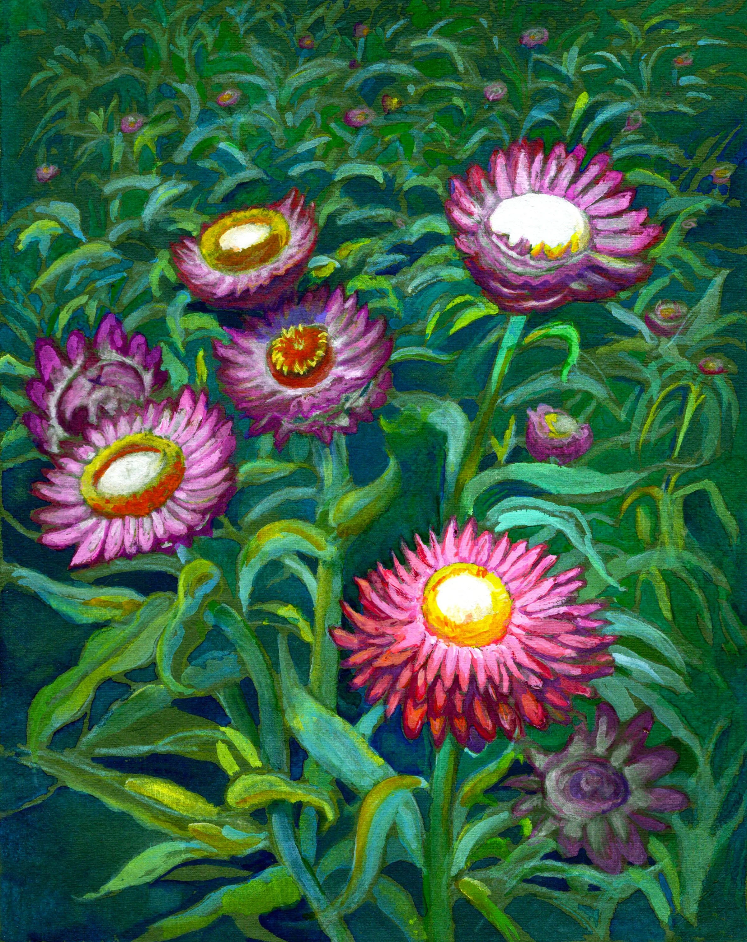 Everlasting Fuschia.jpg