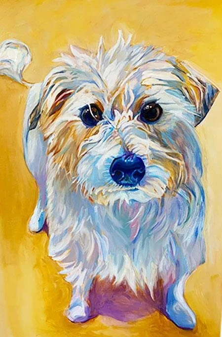 dandi for prints.jpg