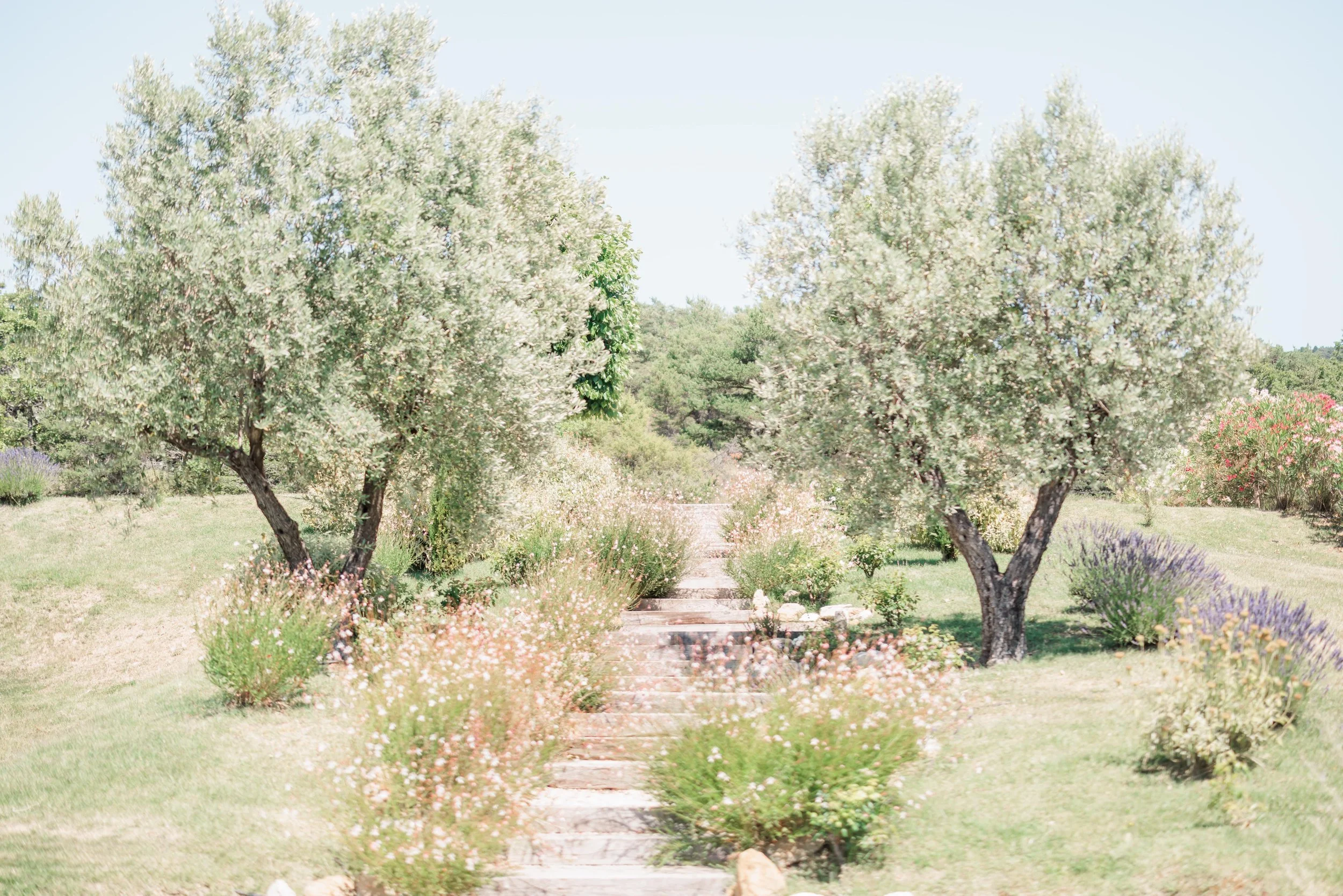 Clémentine & Pierre-18-nano.jpg