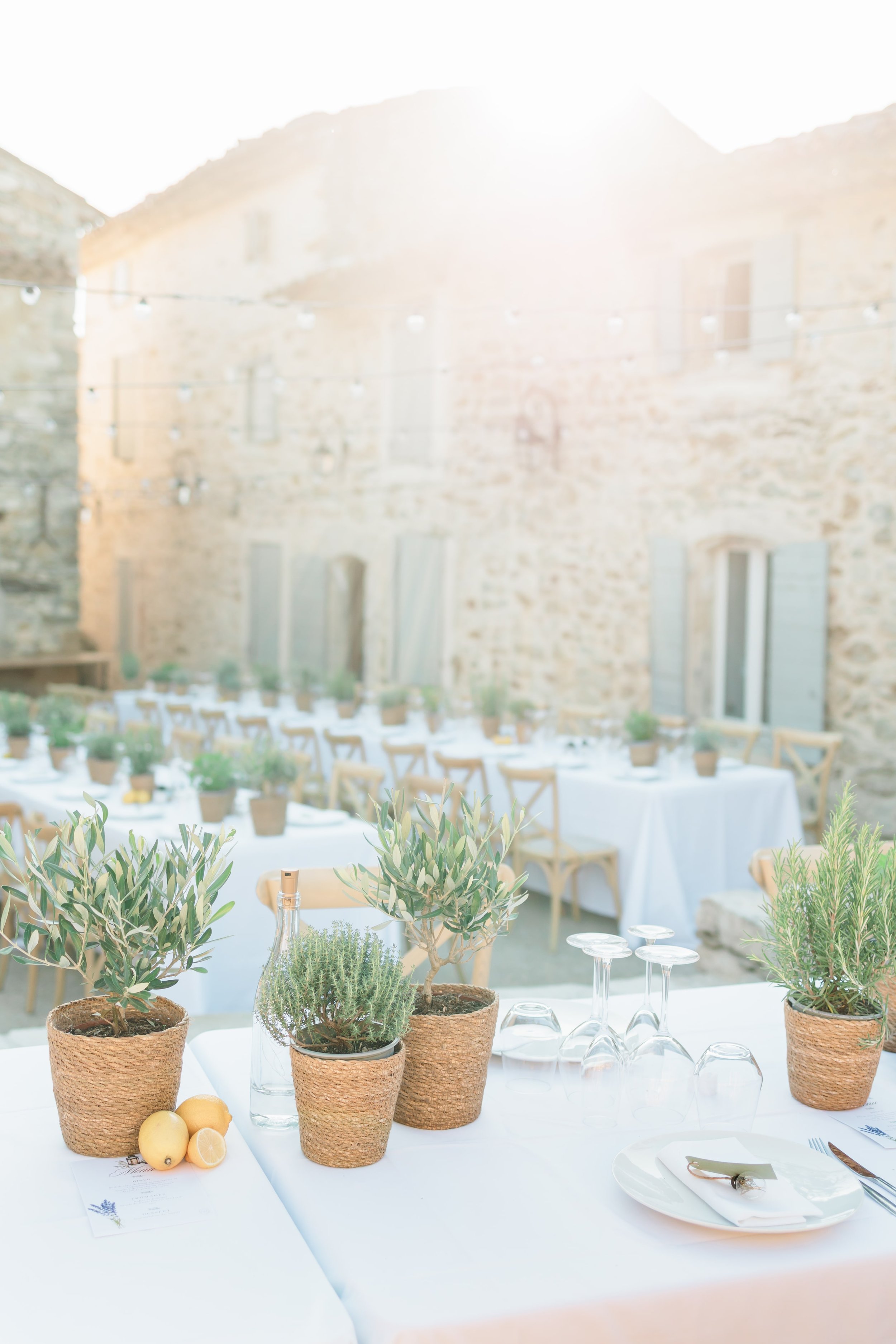 Clémentine & Pierre-444-nano.jpg