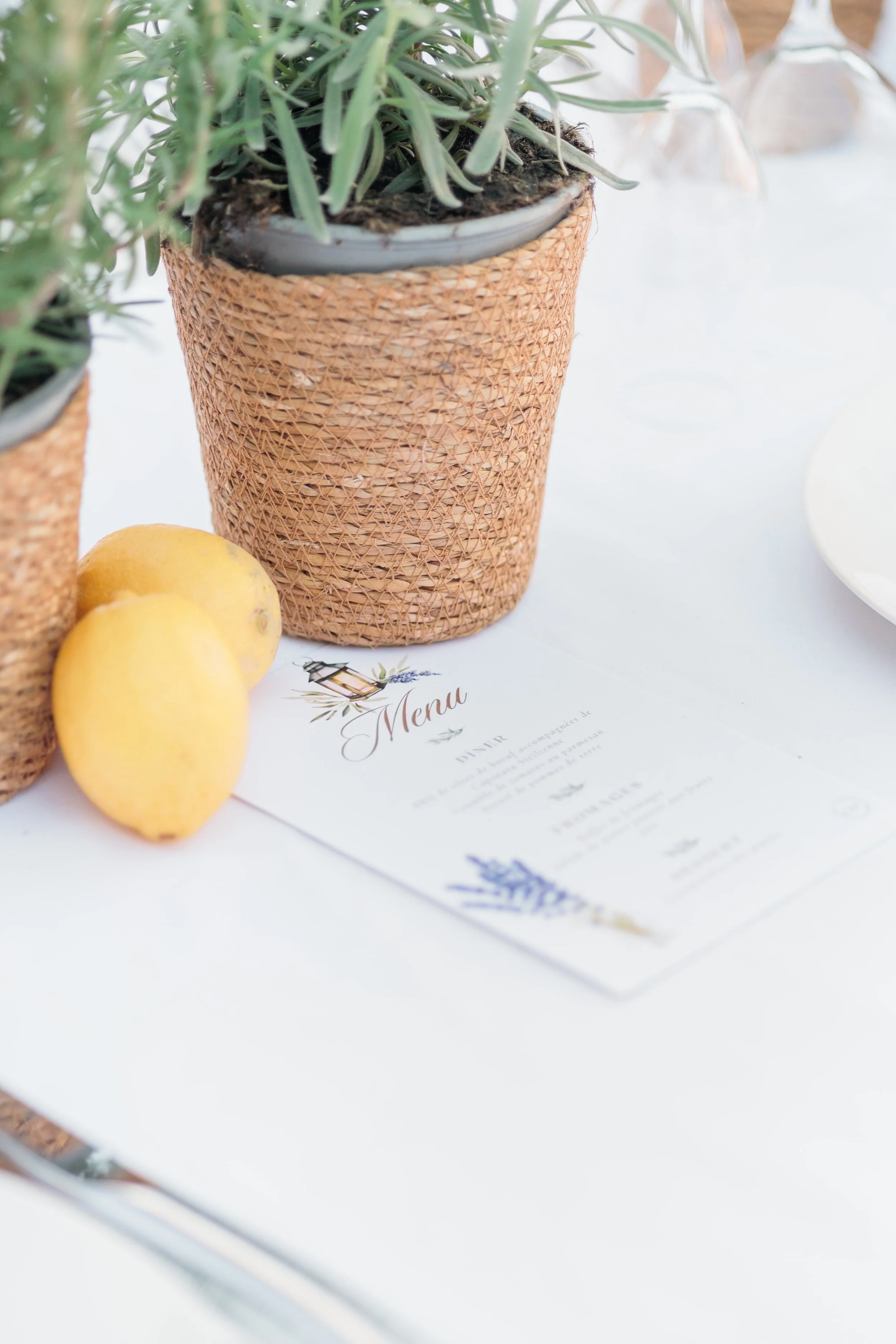 Clémentine & Pierre-432-nano.jpg