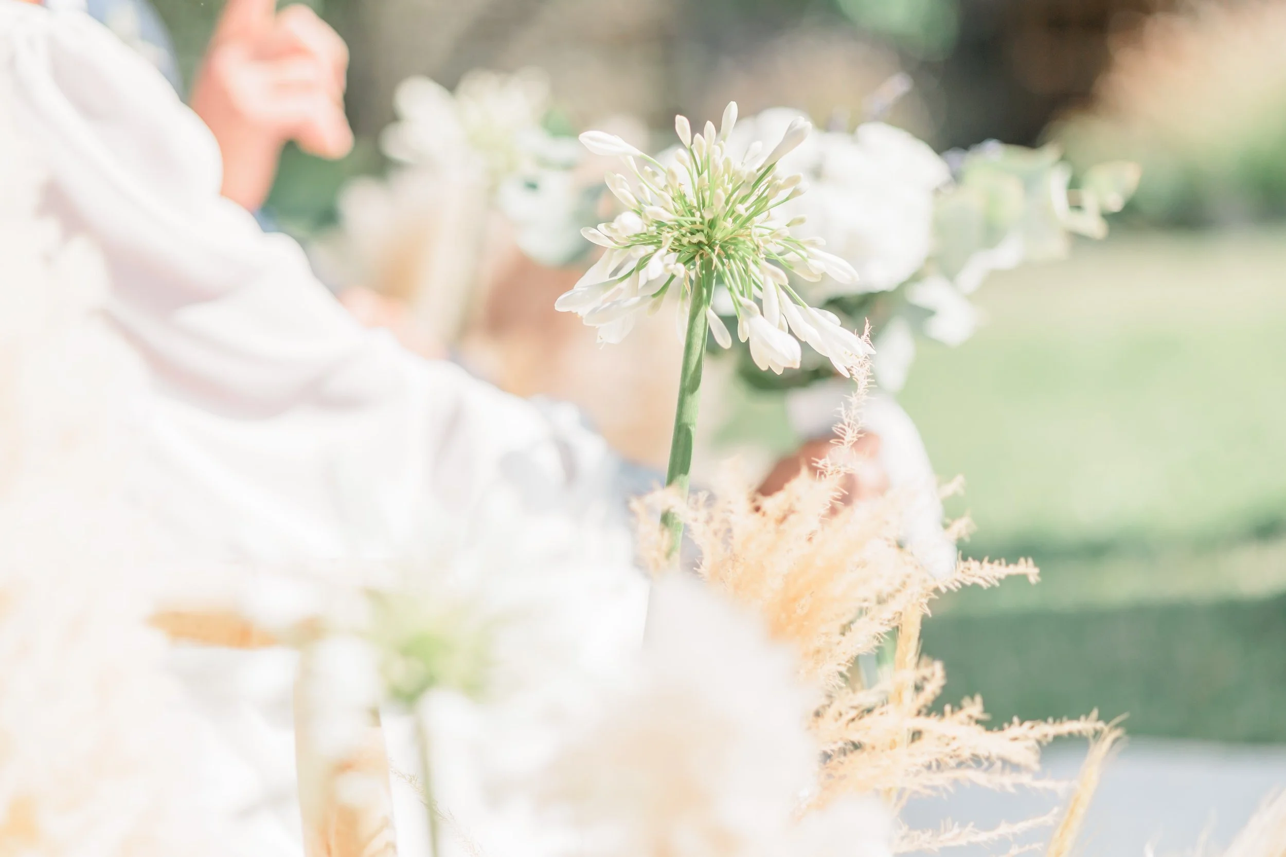 Clémentine & Pierre-206-nano.jpg