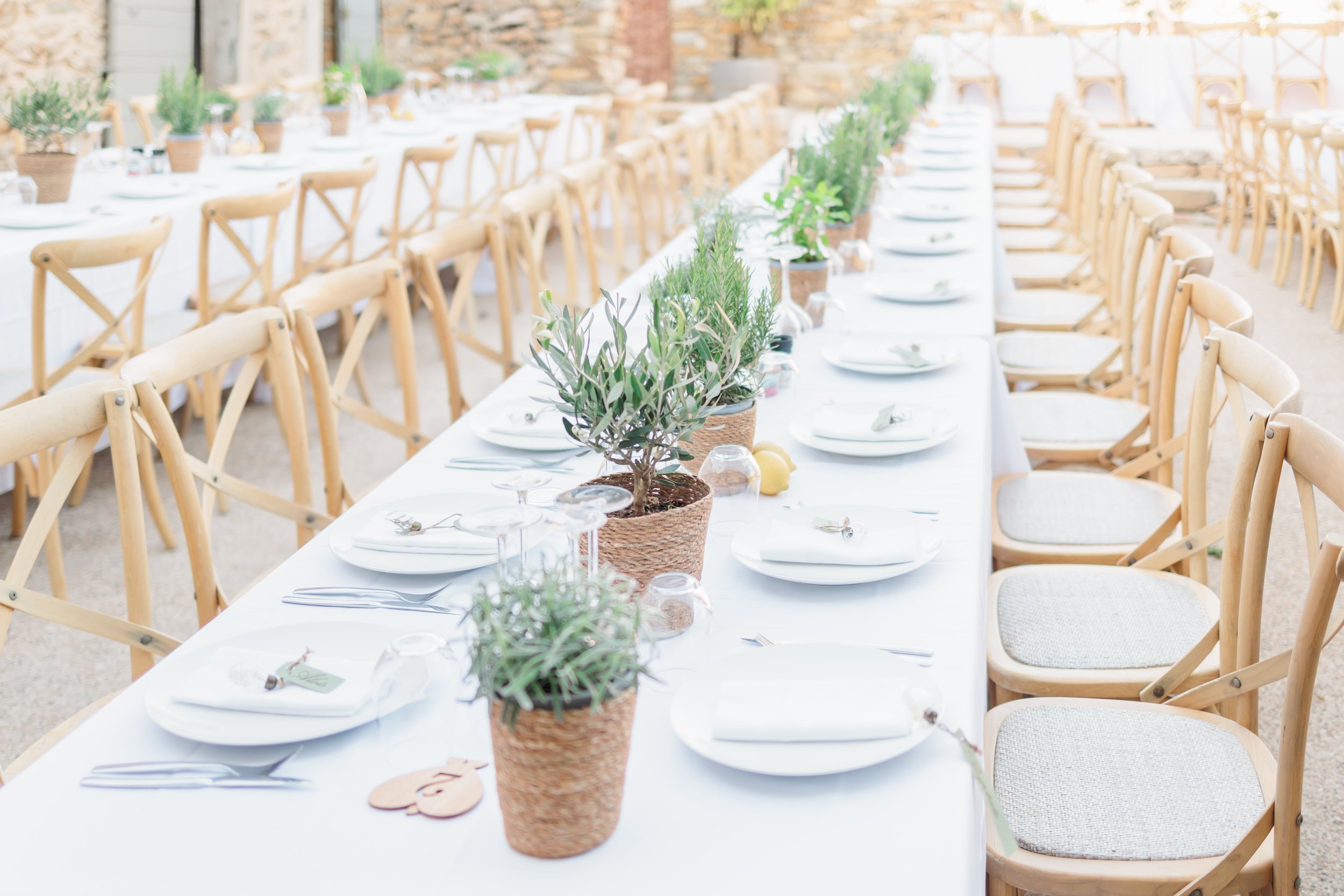 Clémentine & Pierre-430-nano.jpg