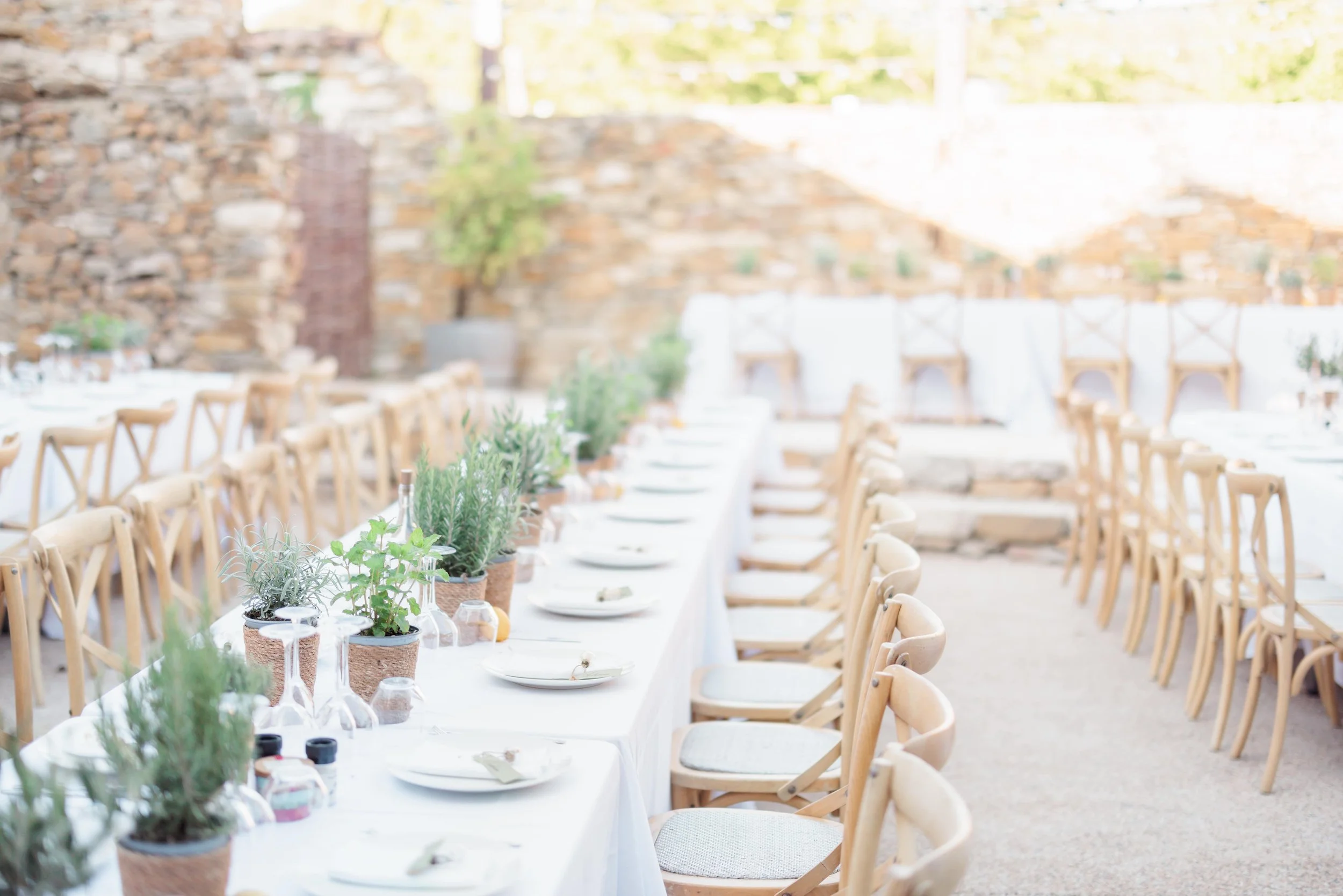 Clémentine & Pierre-470-nano.jpg