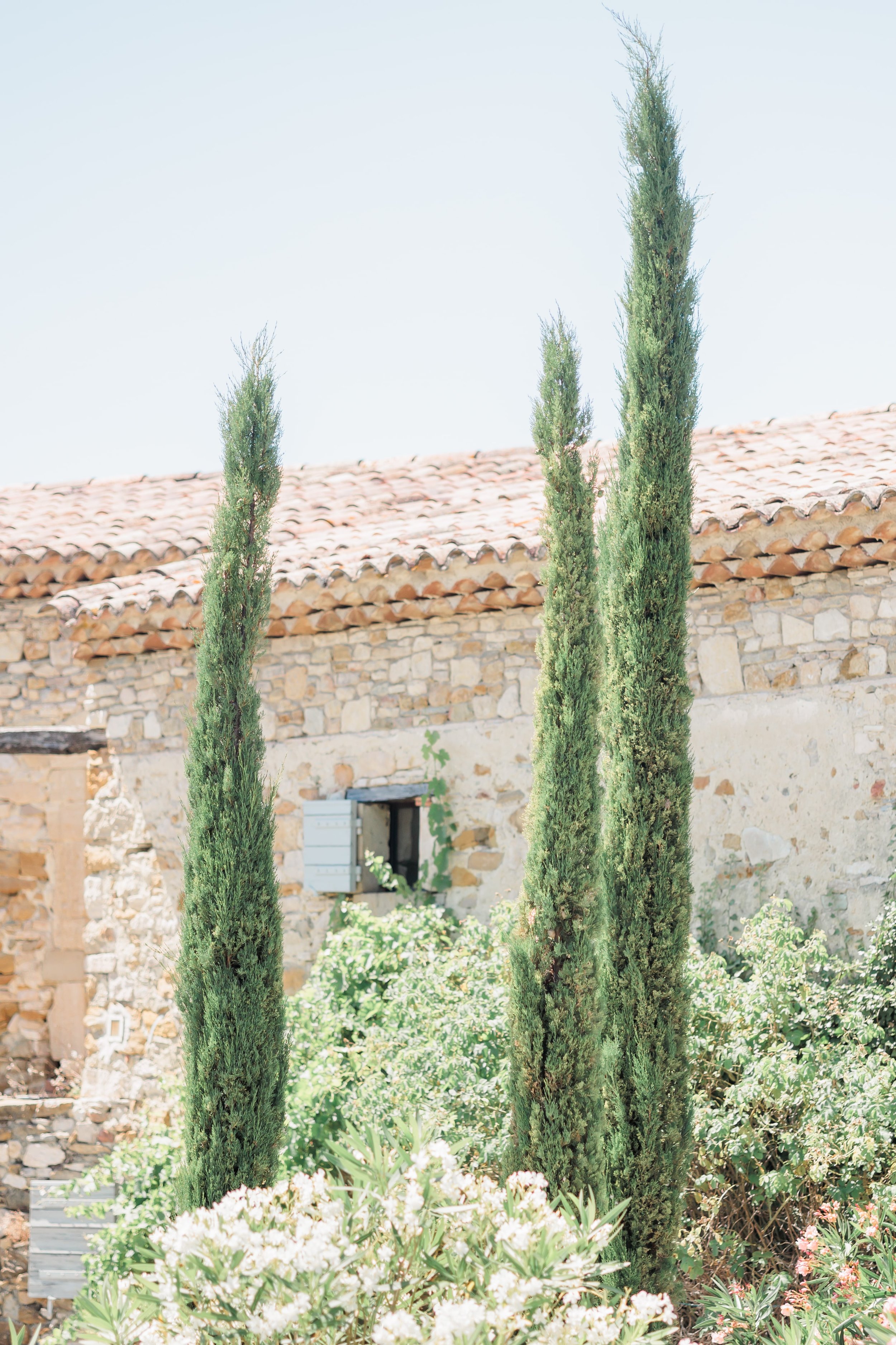 Clémentine & Pierre-16-nano.jpg