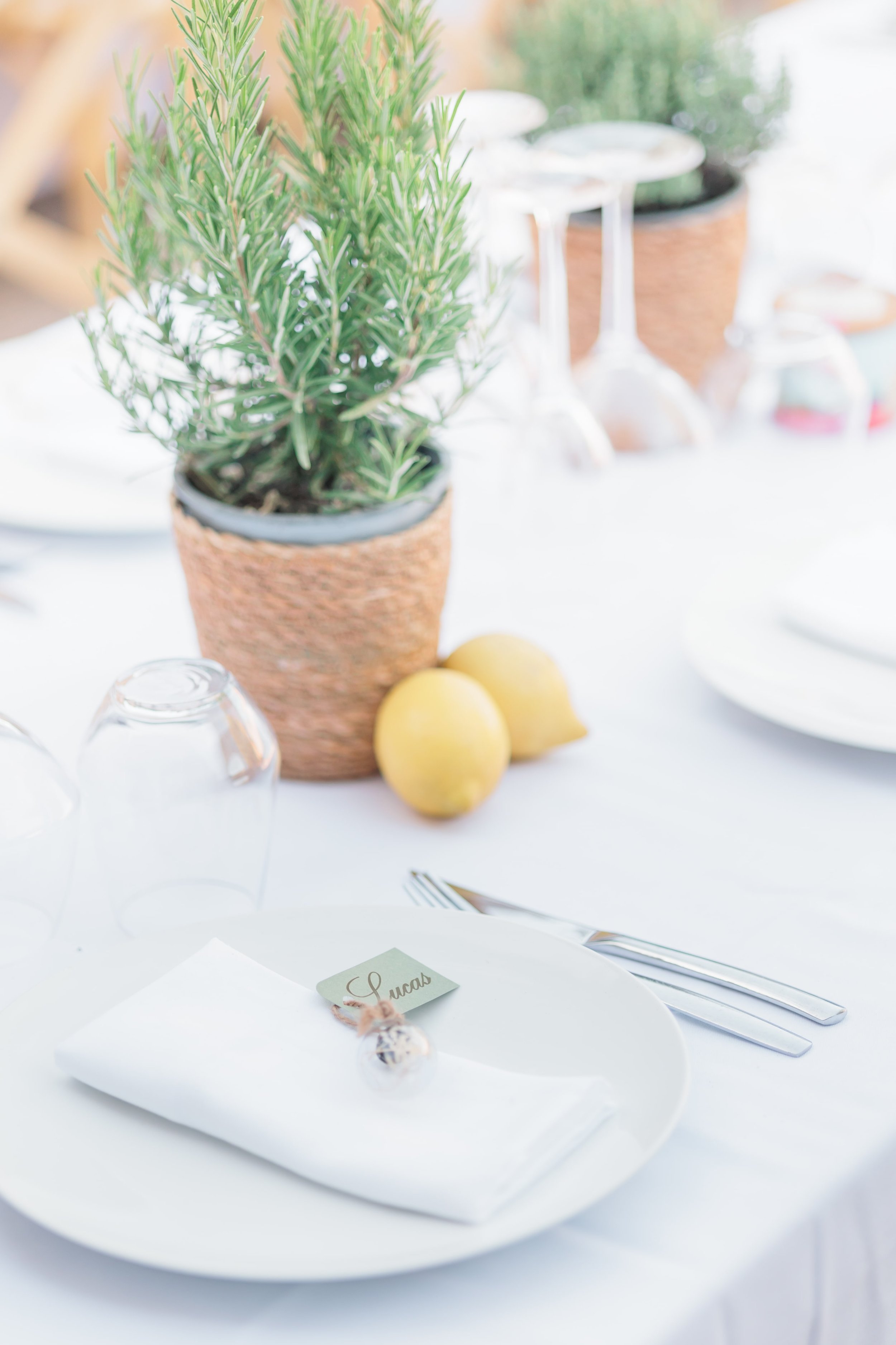 Clémentine & Pierre-431-nano.jpg