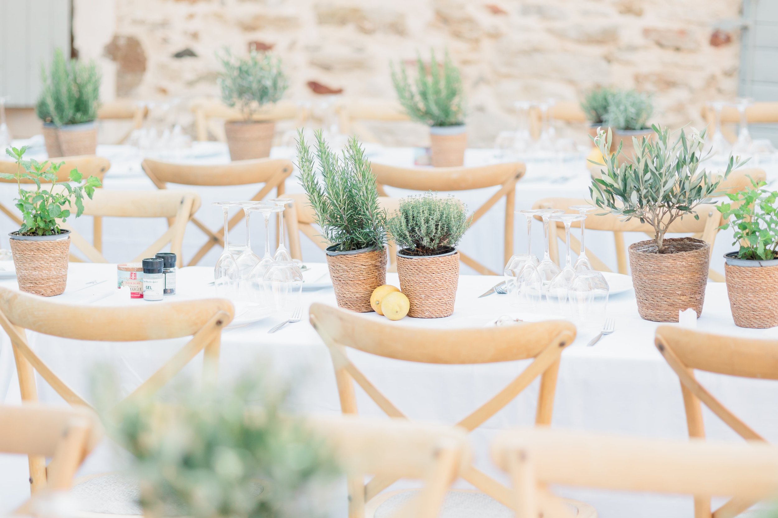 Clémentine & Pierre-434-nano.jpg