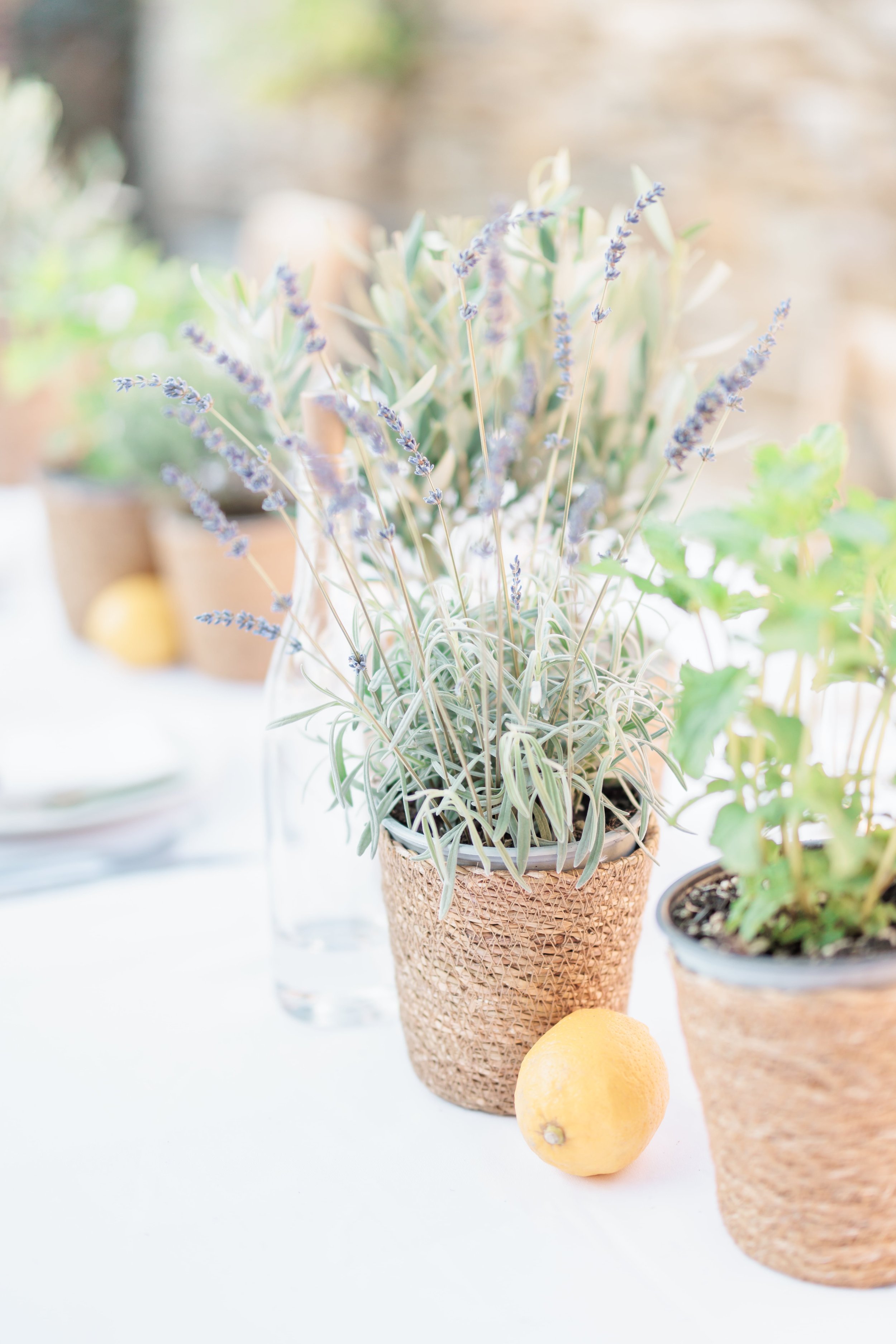 Clémentine & Pierre-465-nano.jpg