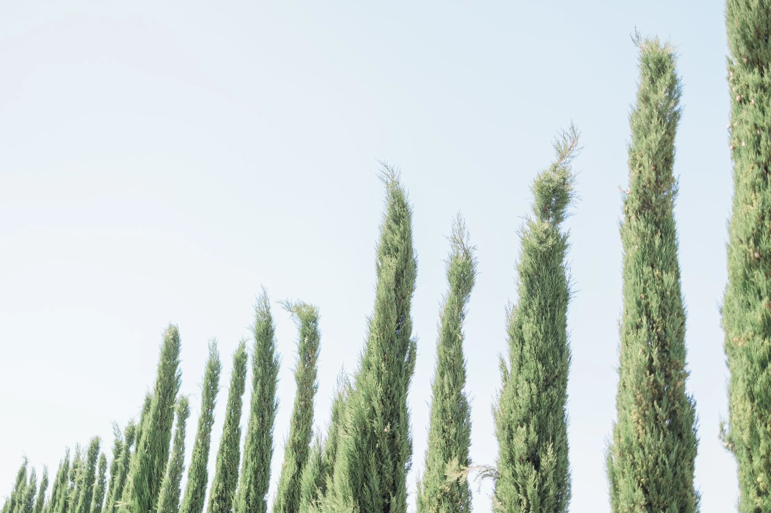 Clémentine & Pierre-11-nano.jpg