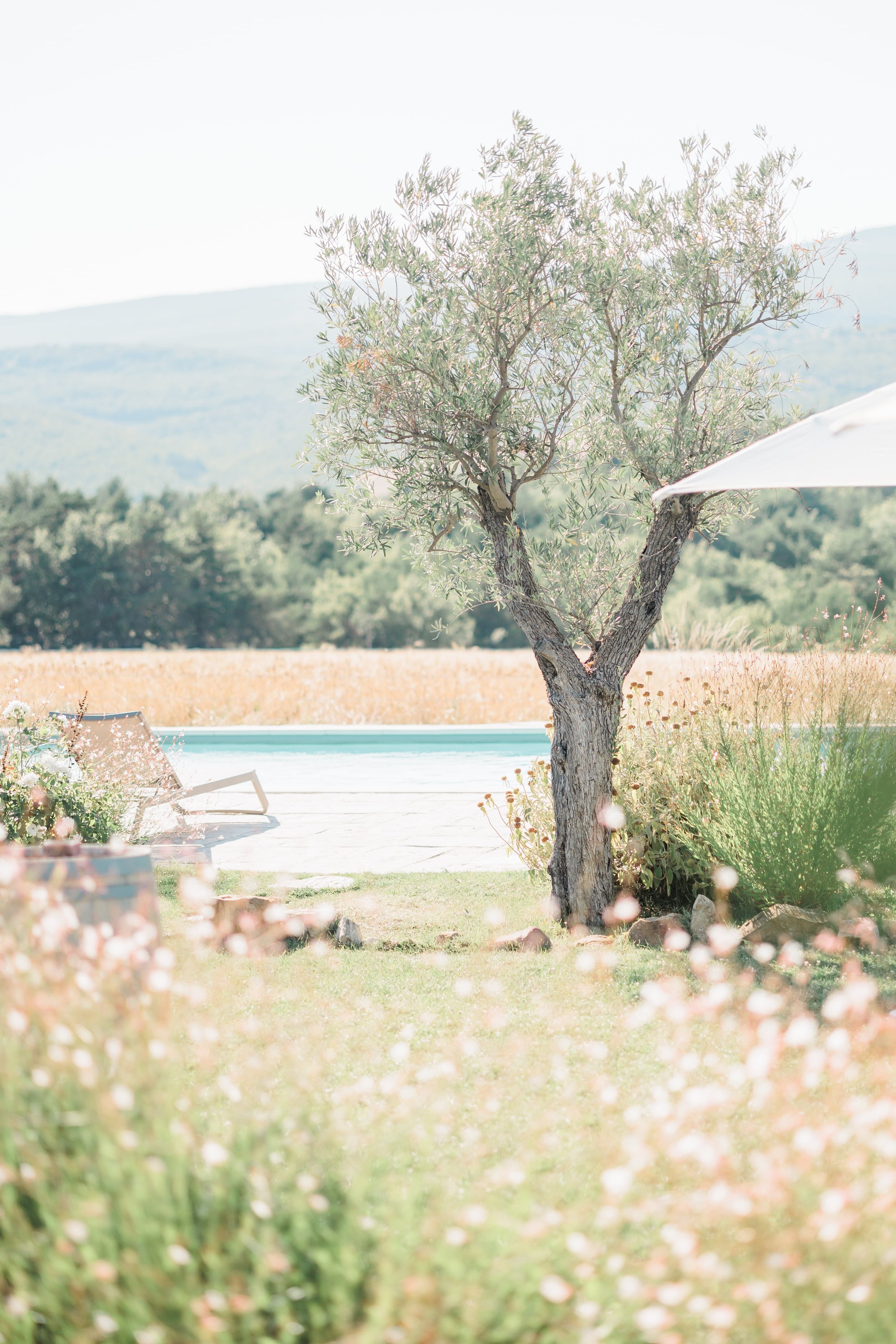 Clémentine & Pierre-317-nano.jpg