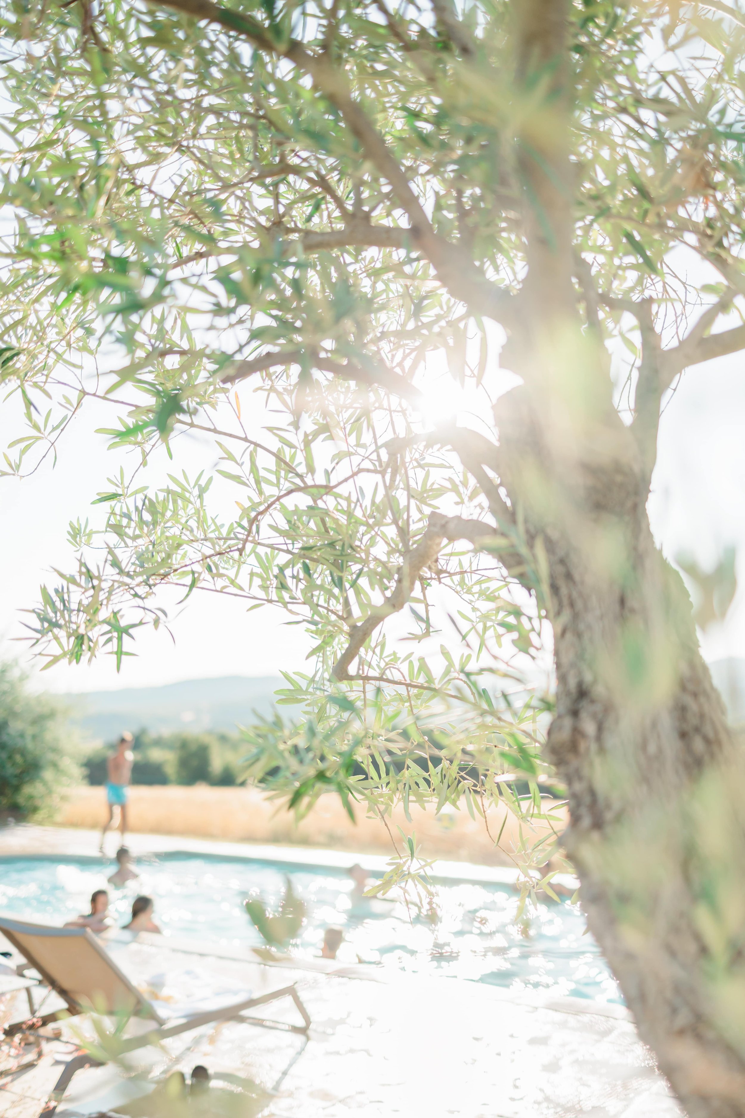 Clémentine & Pierre-459-nano.jpg