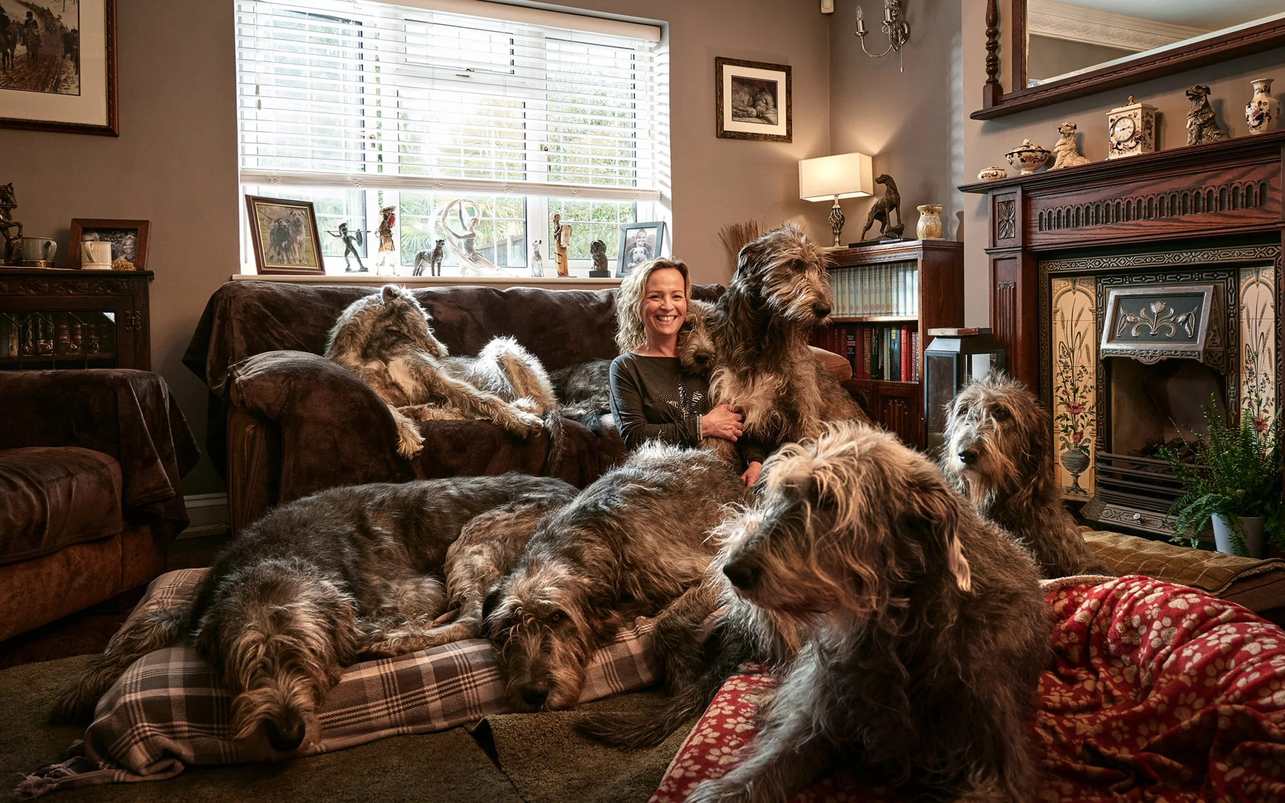 How Do I Get My Dogs Head In The Living Room