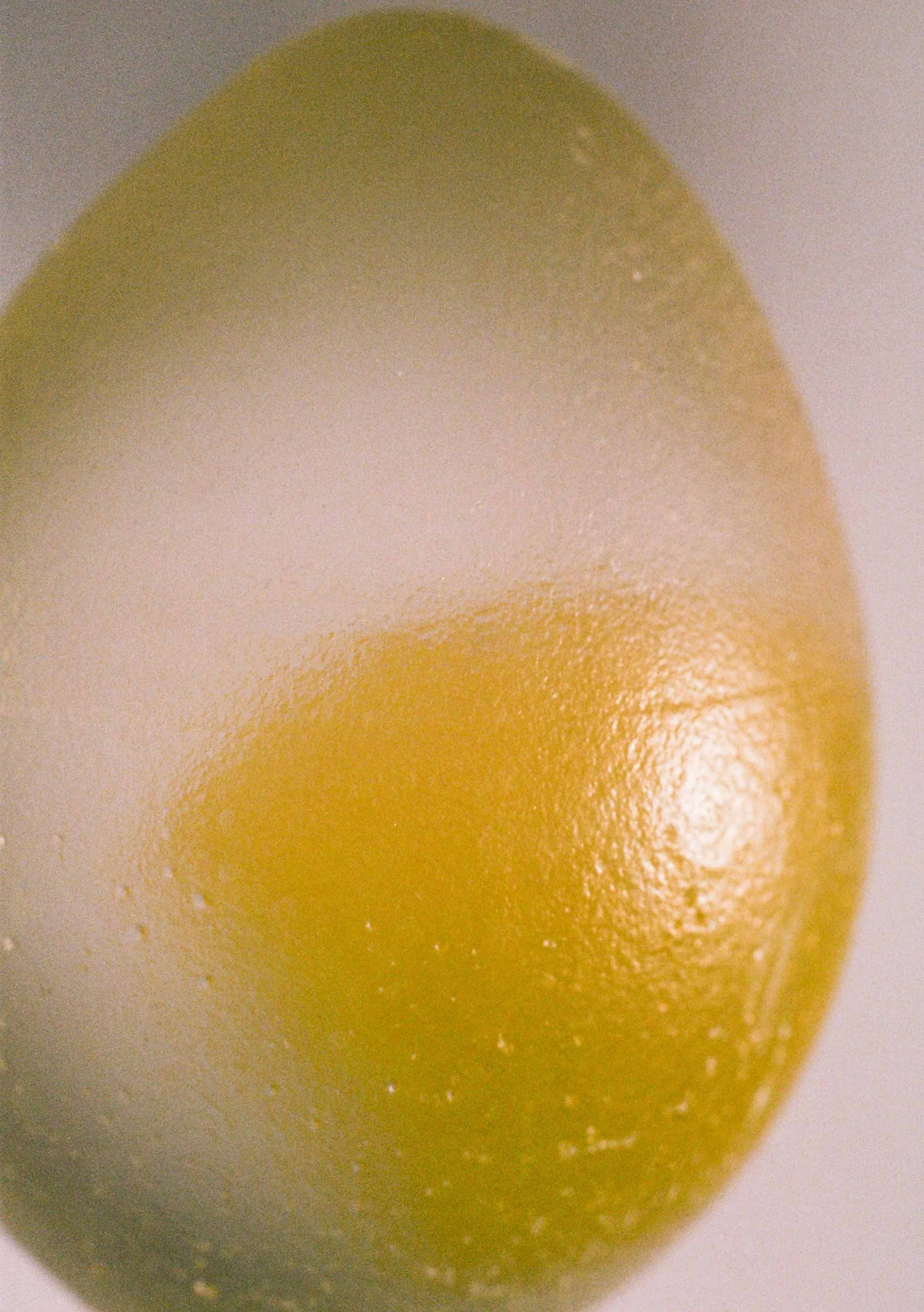 Egg-3-148-x-210mm.jpg