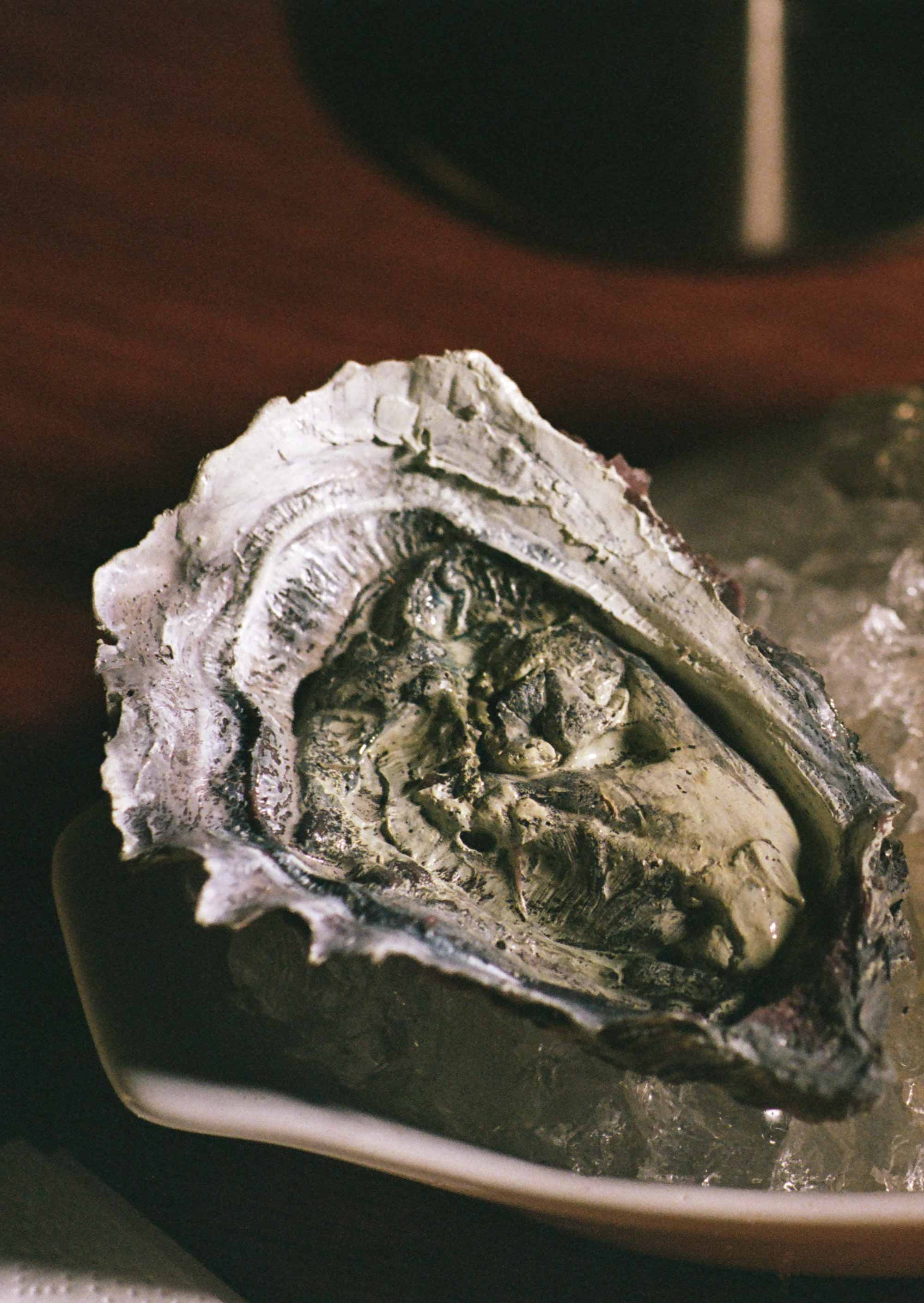 Oyster-close-up-105x148mm.jpg